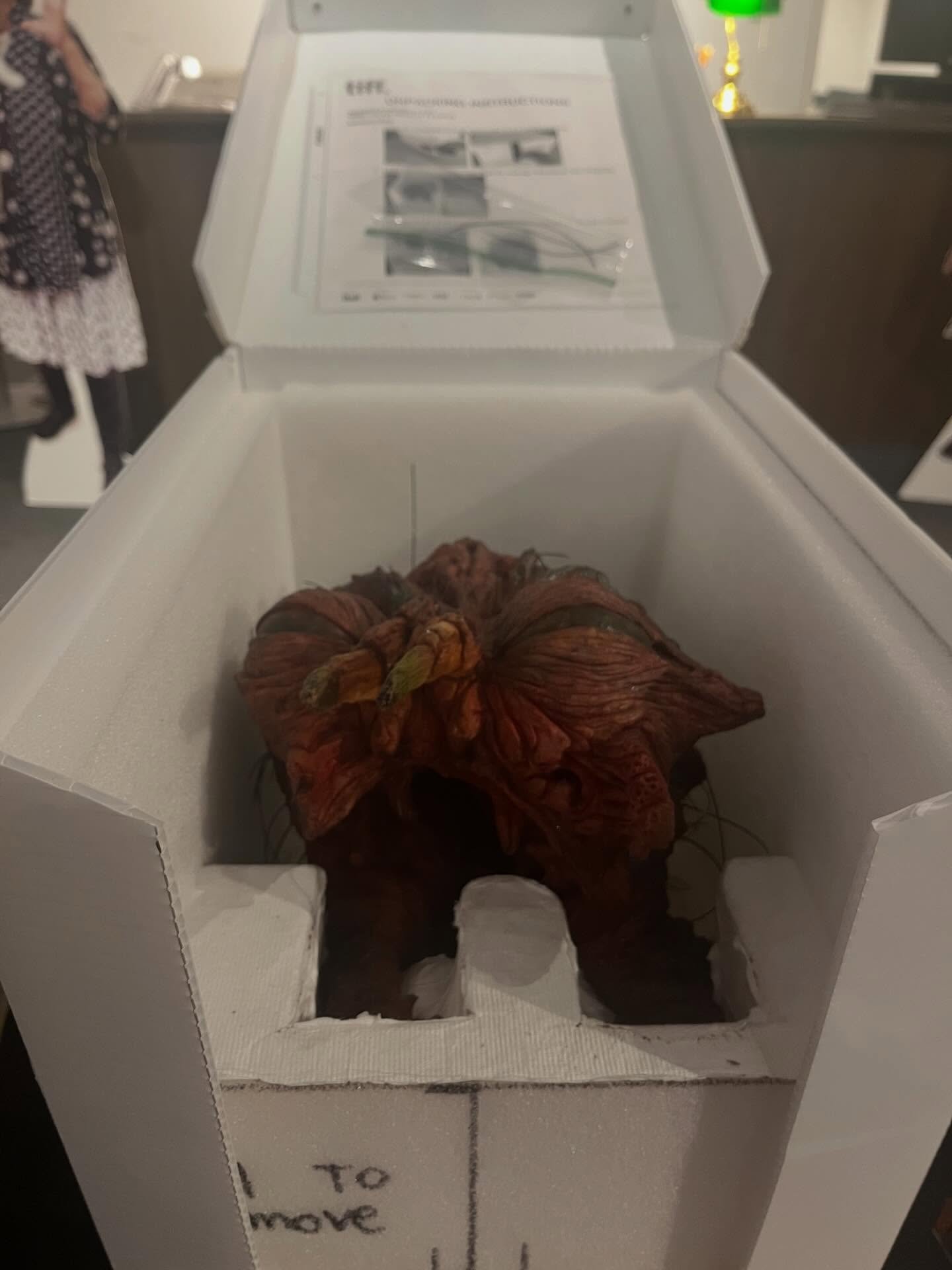 Thank you for the @tiff_net library tour, @wift.toronto! 📚🎞️ I got to see a very special prop from David Cronenberg&rsquo;s THE FLY&hellip;🪰