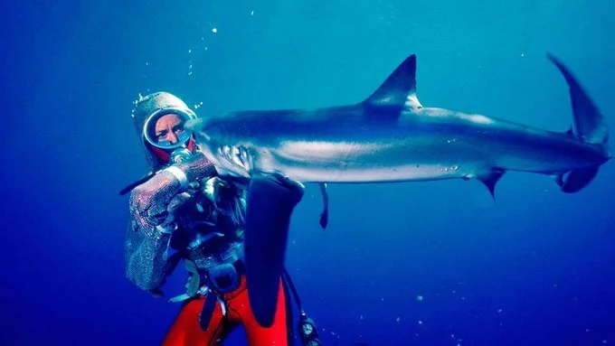 'Playing With Sharks' Review