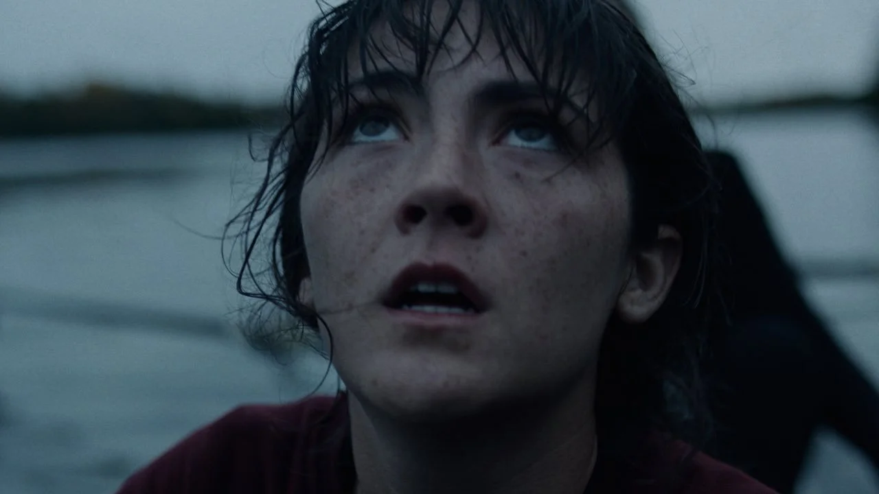 'The Novice' Review