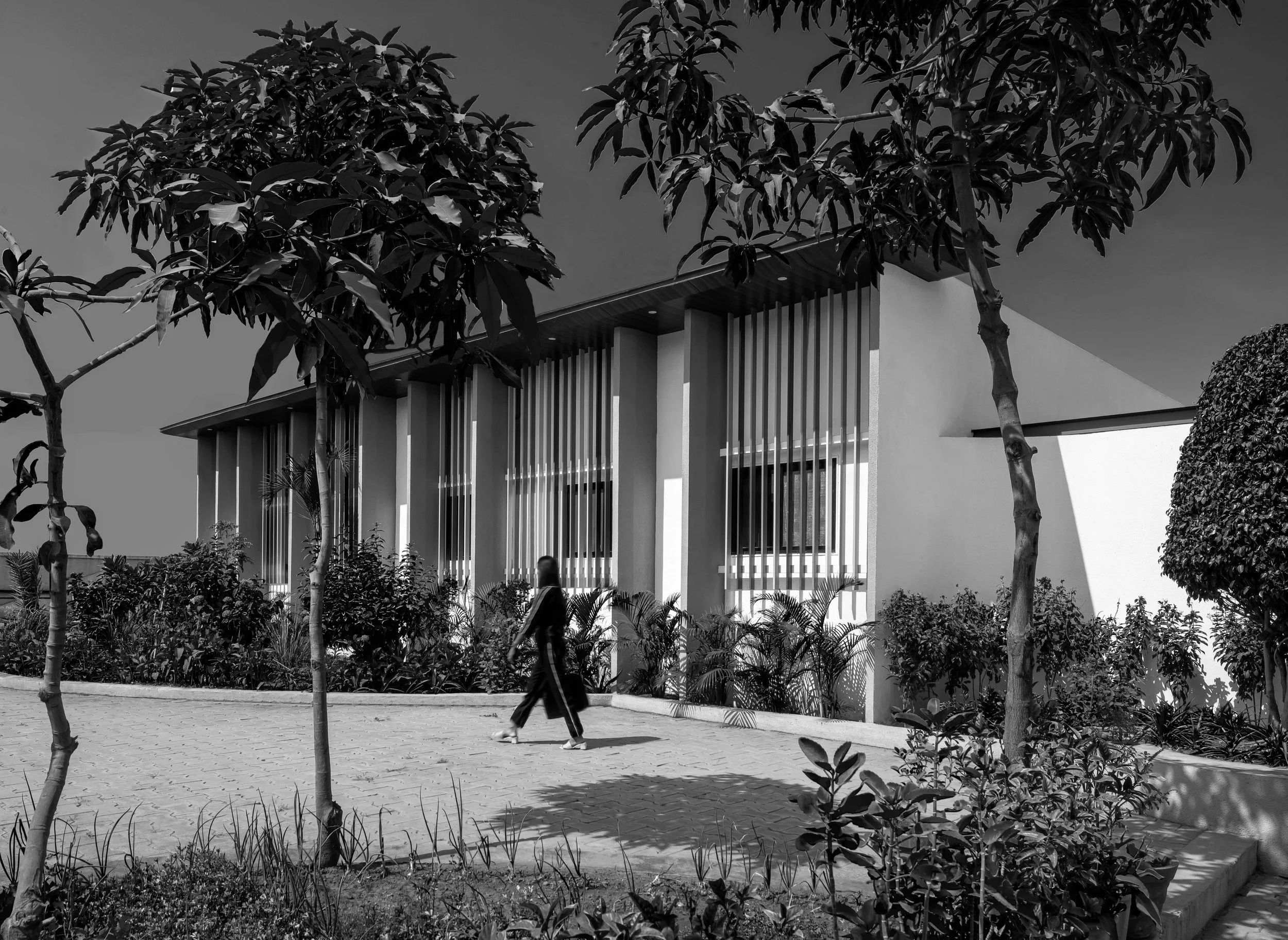 7-black-and-white.jpg