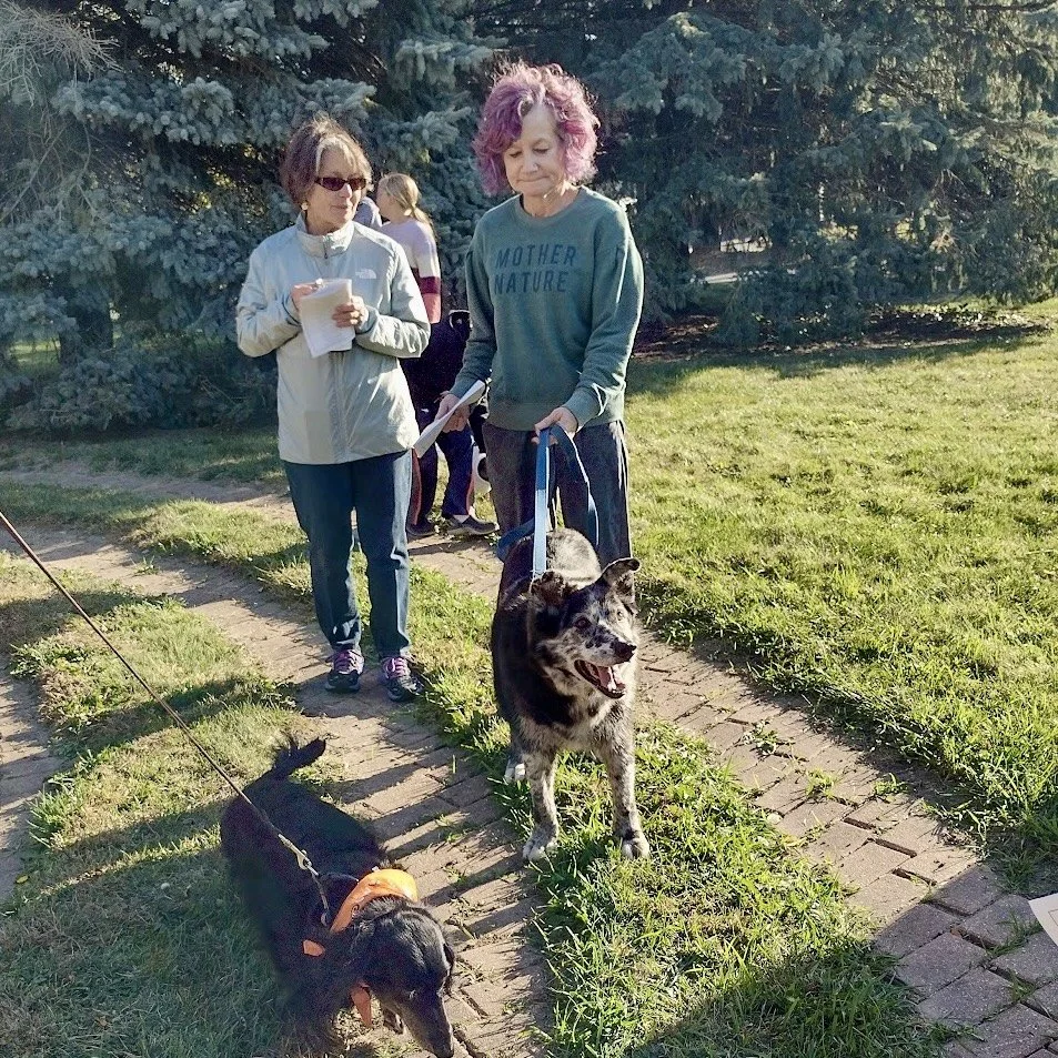 Parishioners walk their dogs along the labyrinth during St. Anskar’s Blessing of the Animals for the Feast of St. Francis.
