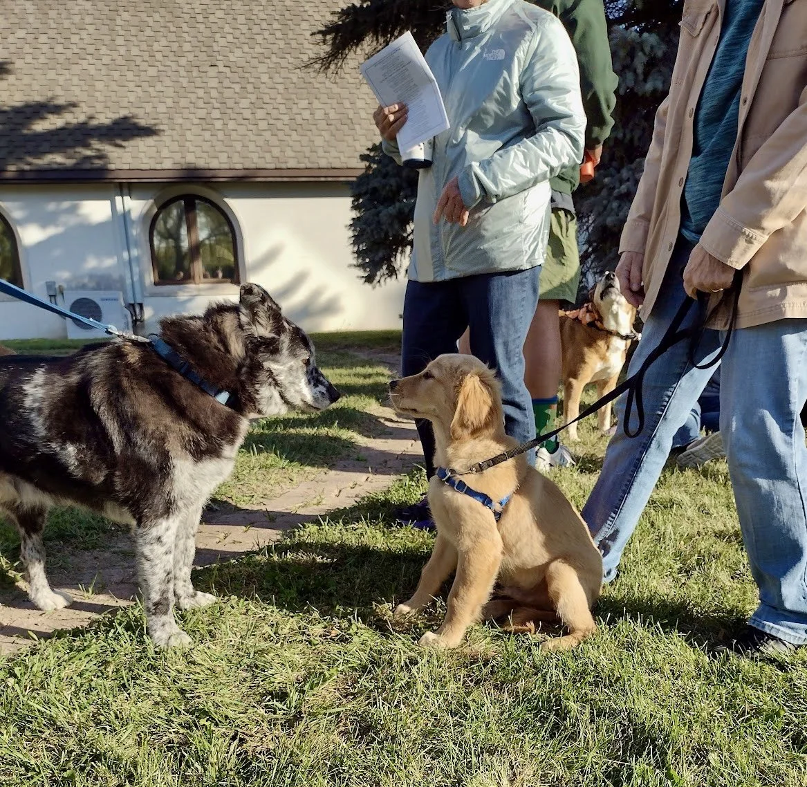 Dogs and their owners gather near the labyrinth for St. Anskar’s annual Blessing of the Animals for the Feast of St. Francis.
