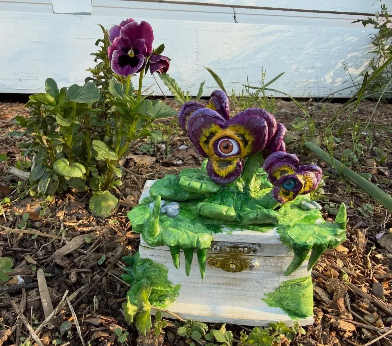 pansy mimc.jpeg