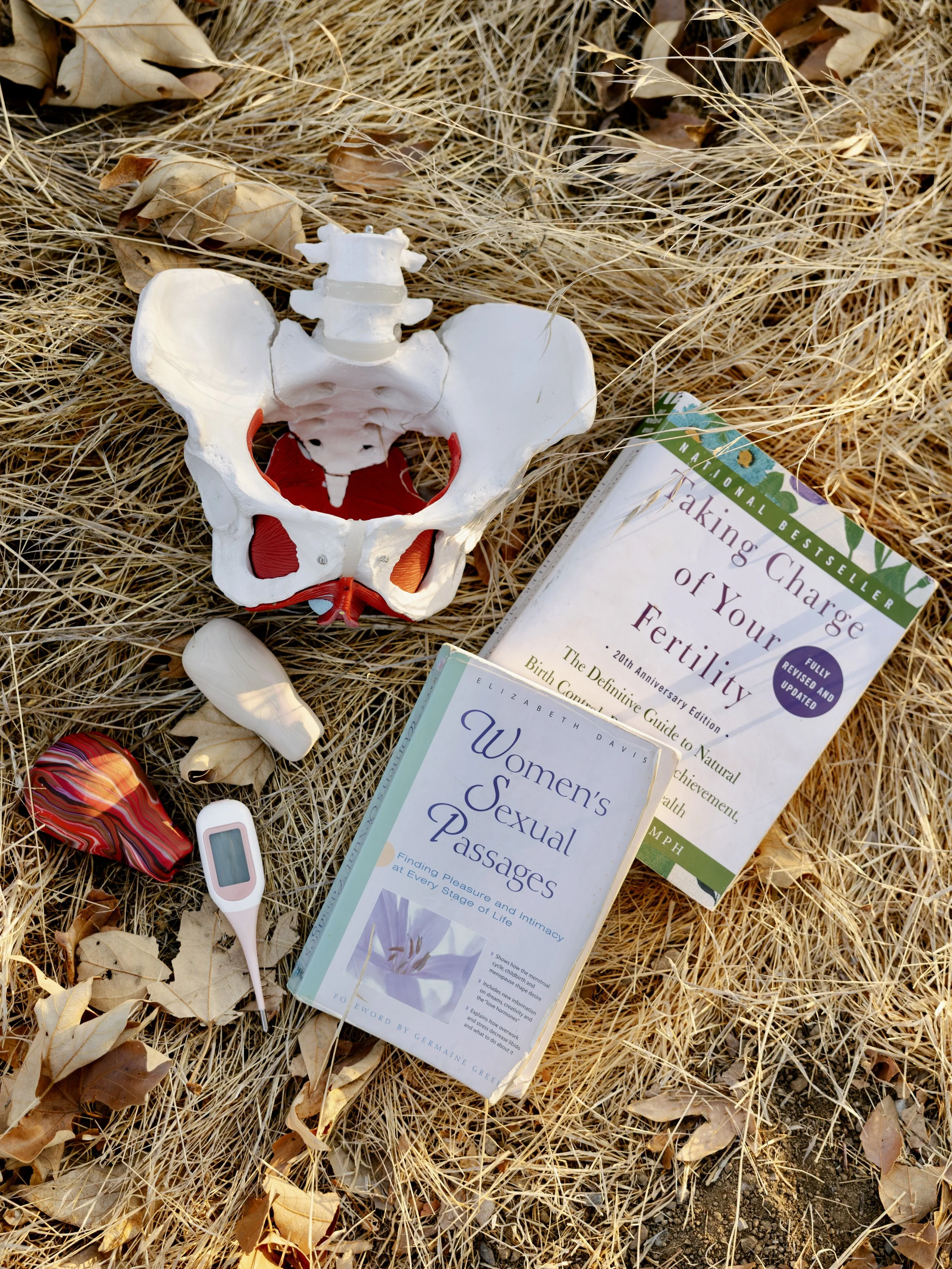 A pile of dried grass, leaves, and twigs with pregnancy and health-related books, a plastic pelvic model, a digital thermometer, and colorful clay uteruses.