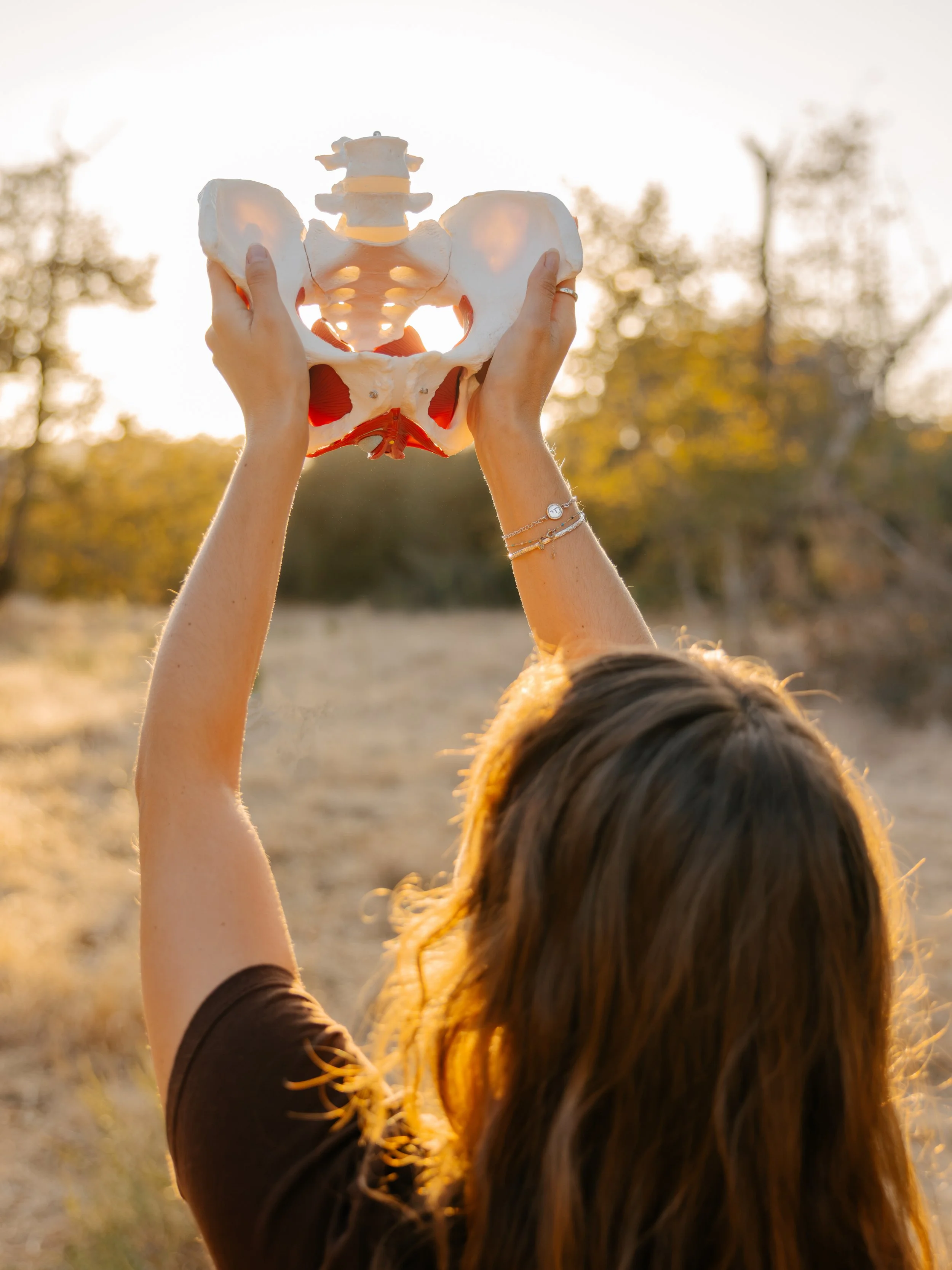 Julianna Stein holding a human pelvis model outdoors during sunset with trees in the background.