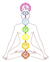 Outline of a person seated in a lotus position with seven colored chakra symbols aligned along the spine.