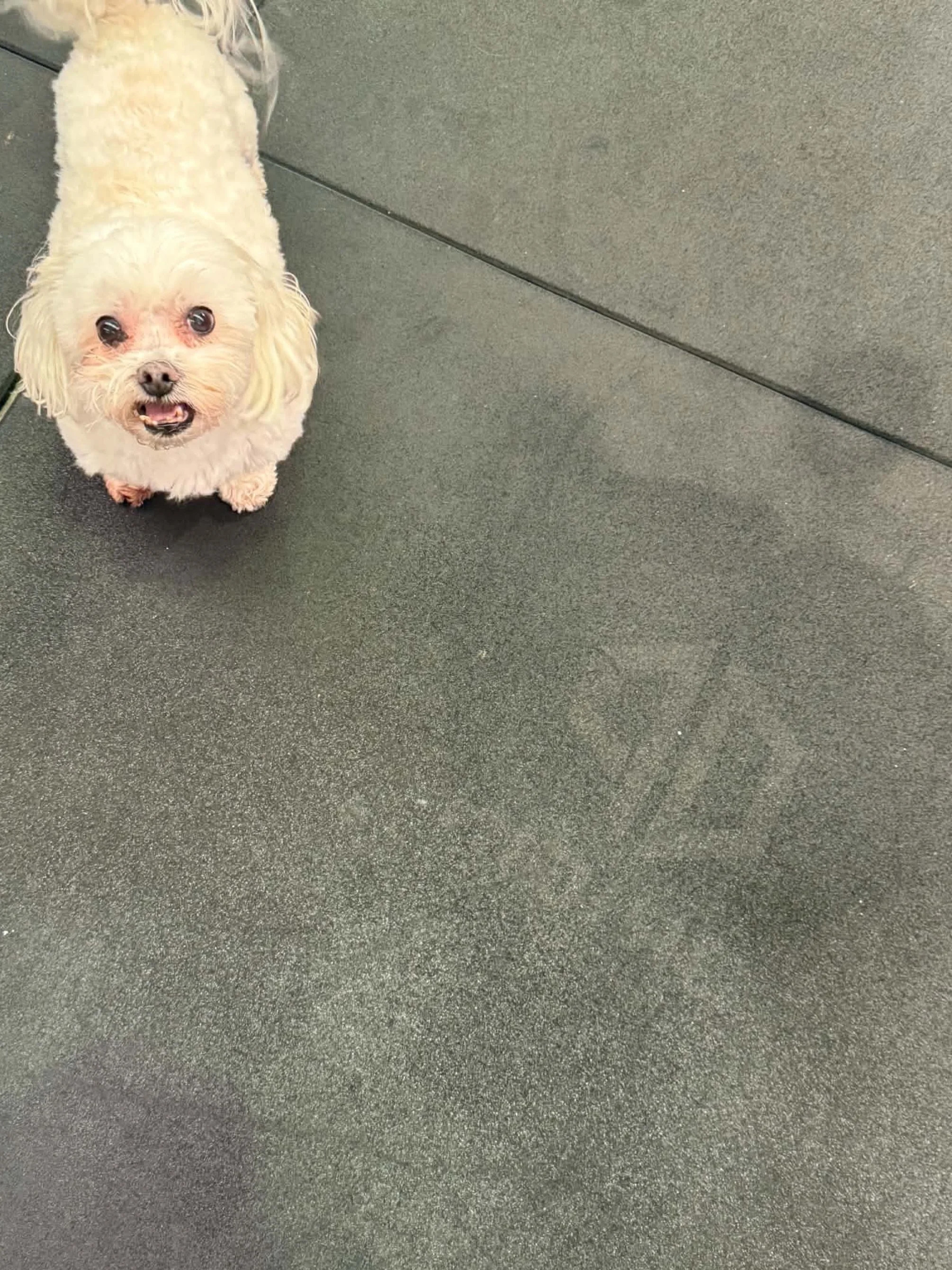 Proof of work. Leave your mark. 
#originperformance #whereprogressbegins