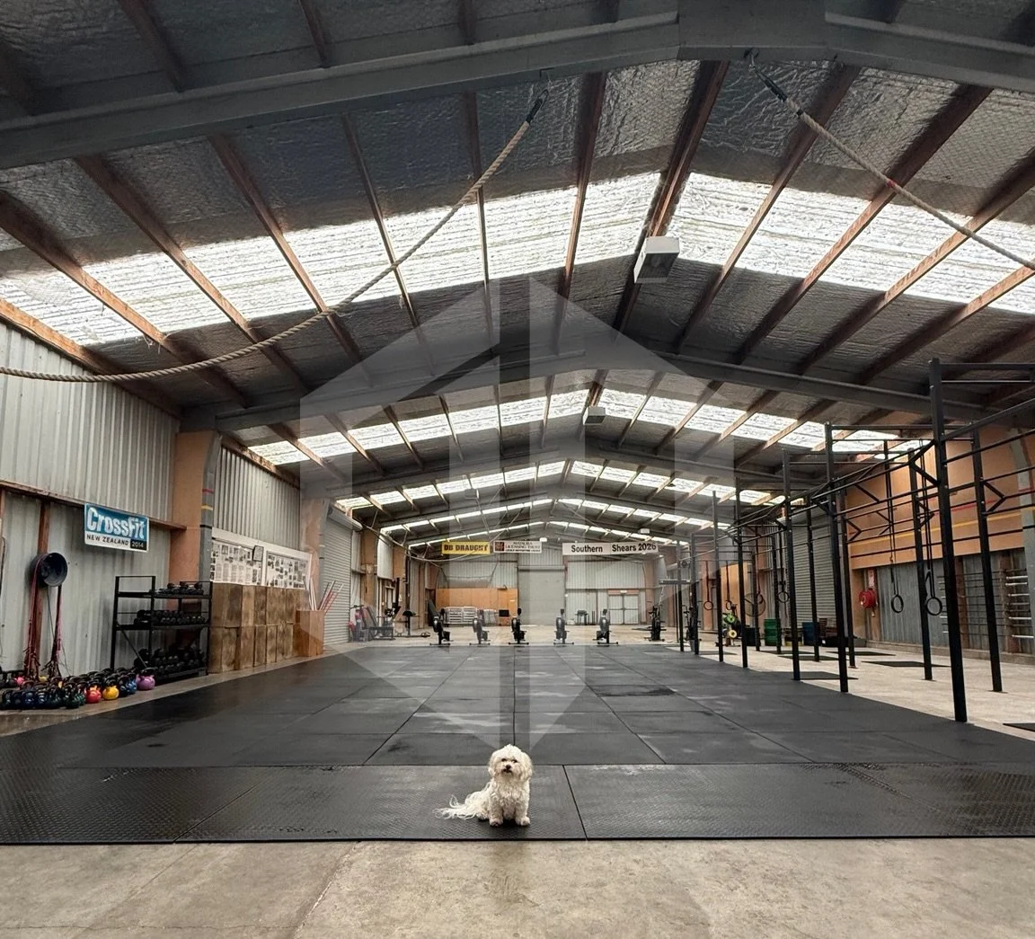 Olly approves of a Sunday reset
#originperformance #goodboy