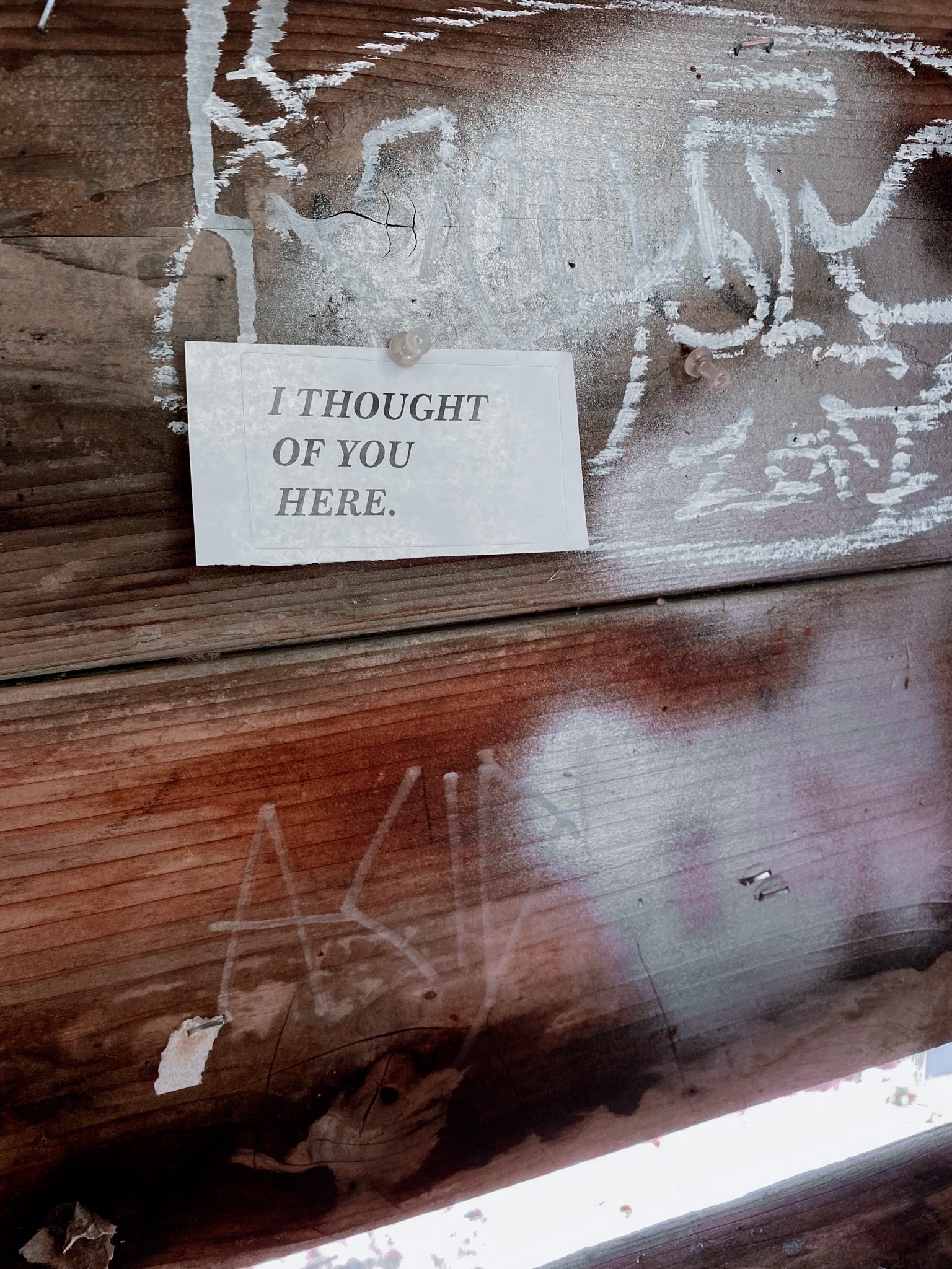 IMG_0216.png