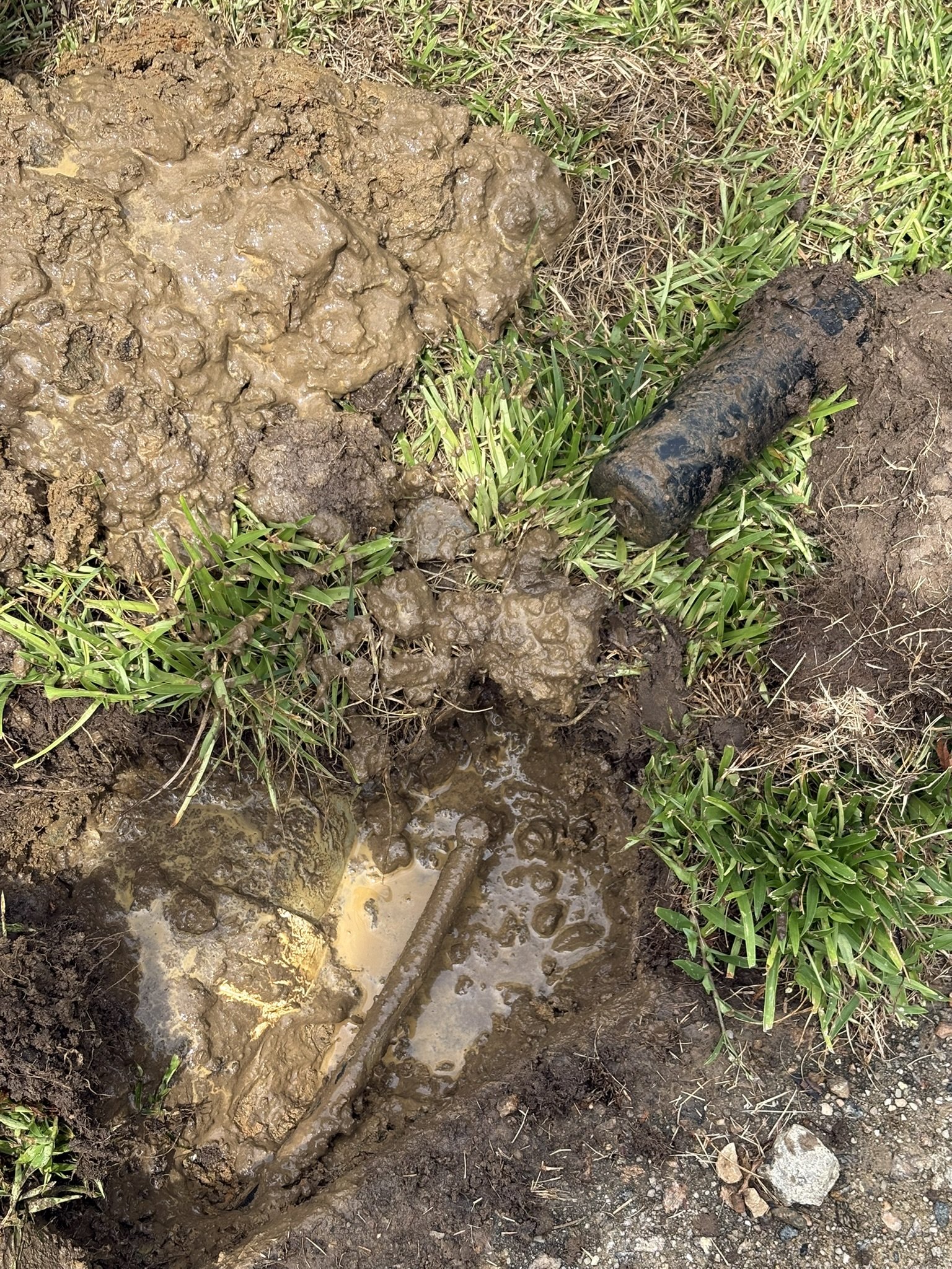 Broken sprinkler head requiring replacement.