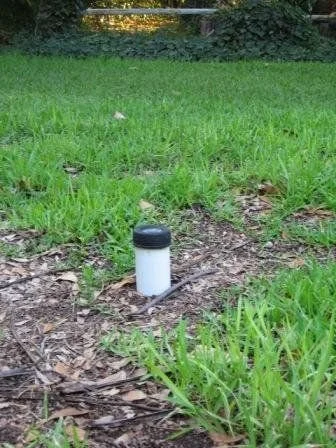 Capped plumbing cleanout among grass and leaf litter.
