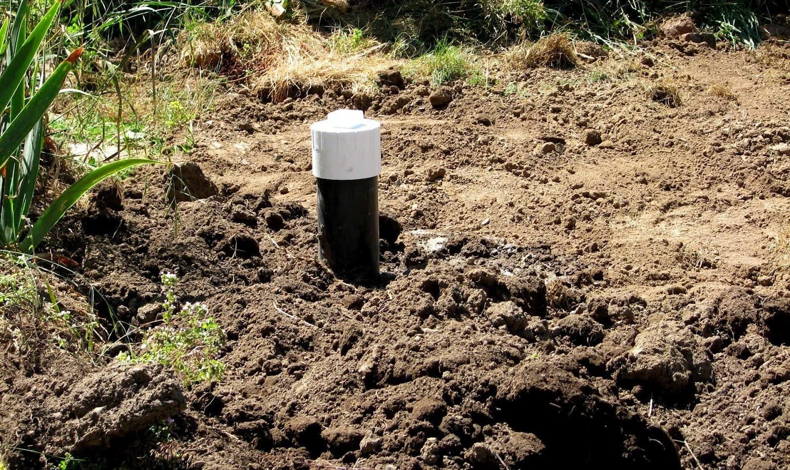 Capped plumbing cleanout exposed in freshly disturbed soil.