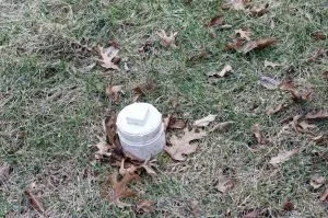 Capped plumbing cleanout visible in a grassy yard.