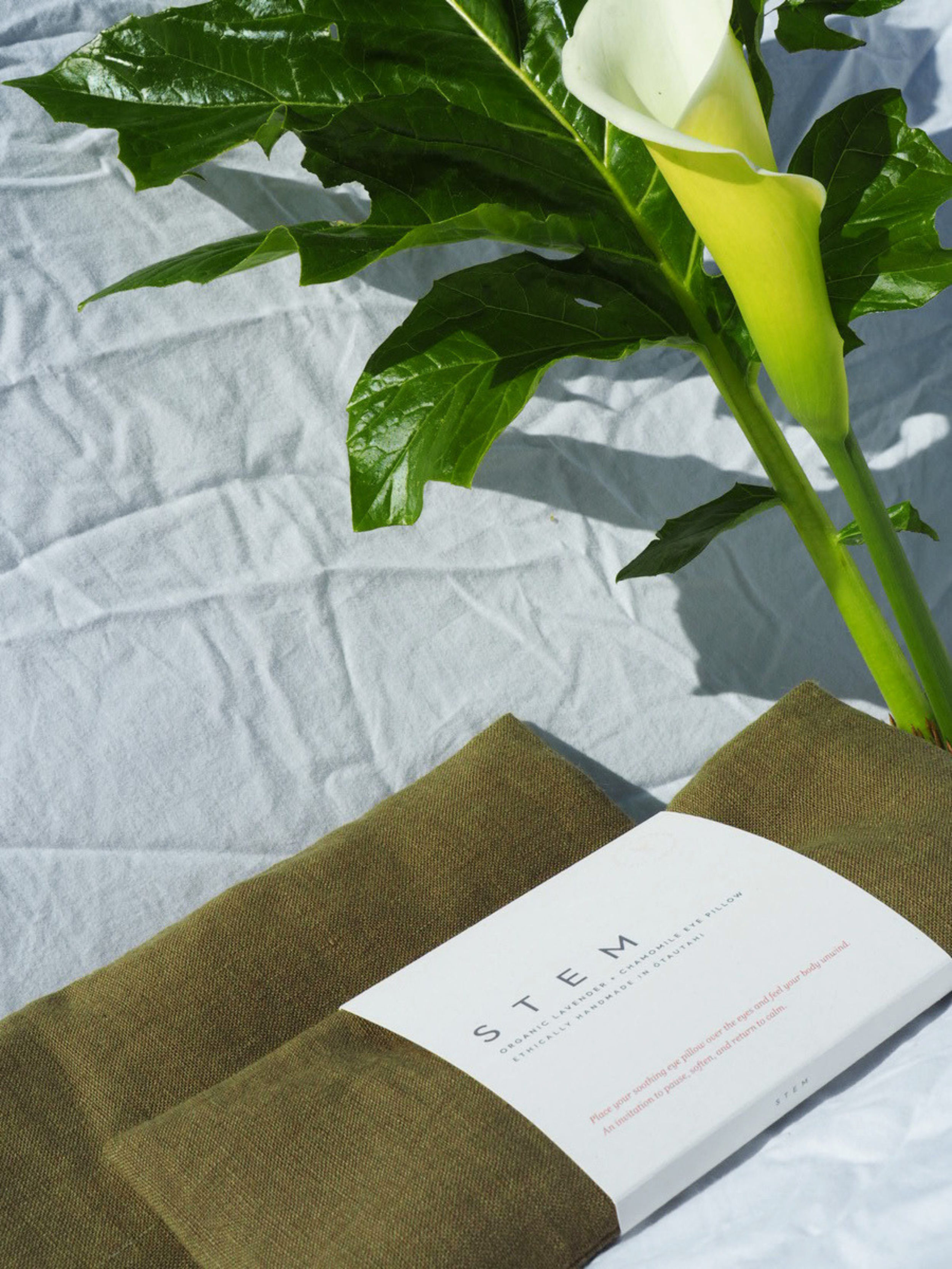 Untitled design (1).png
