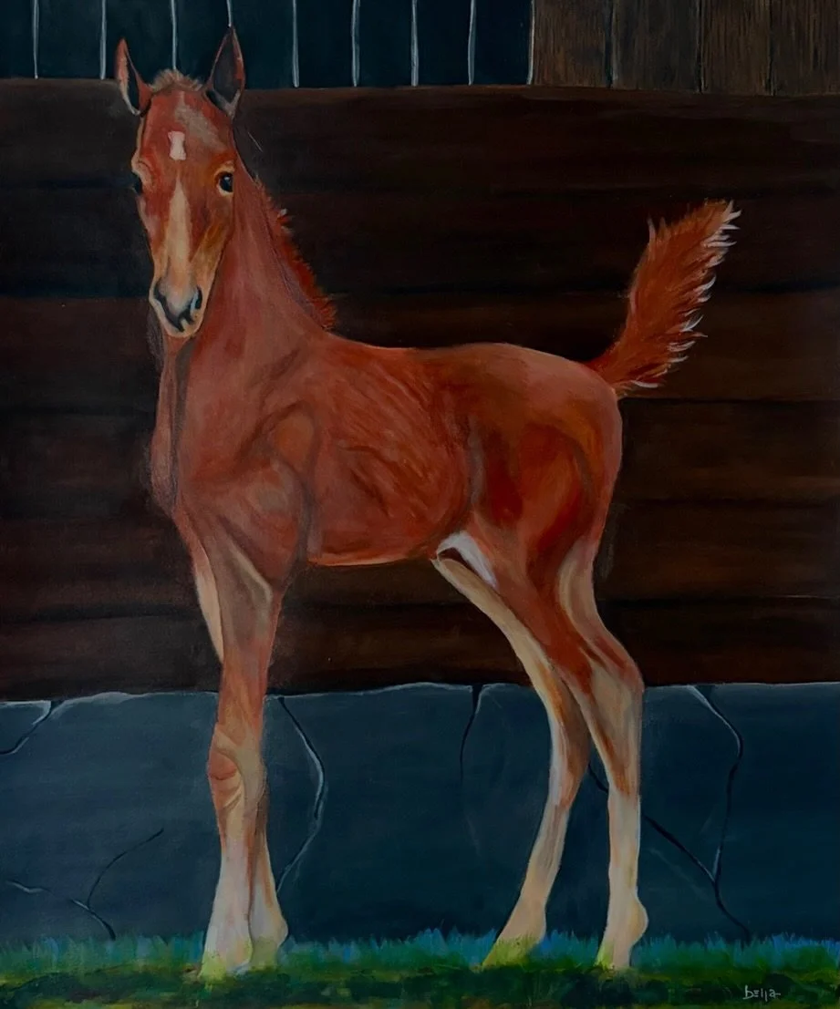Colt