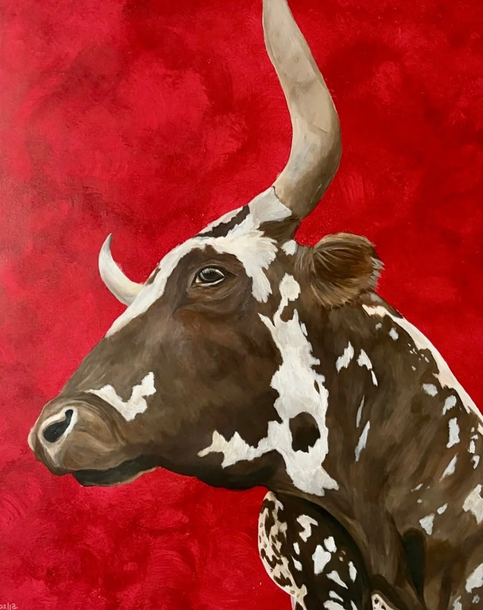 Longhorn