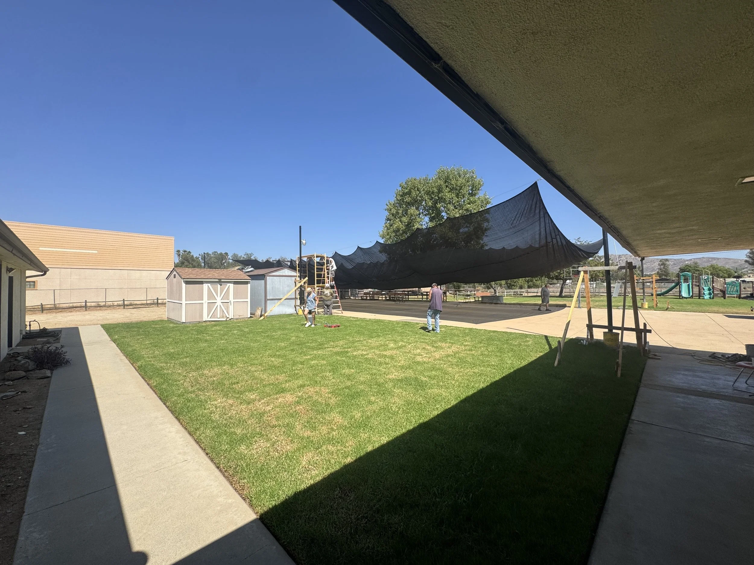 IMG_8137.jpeg