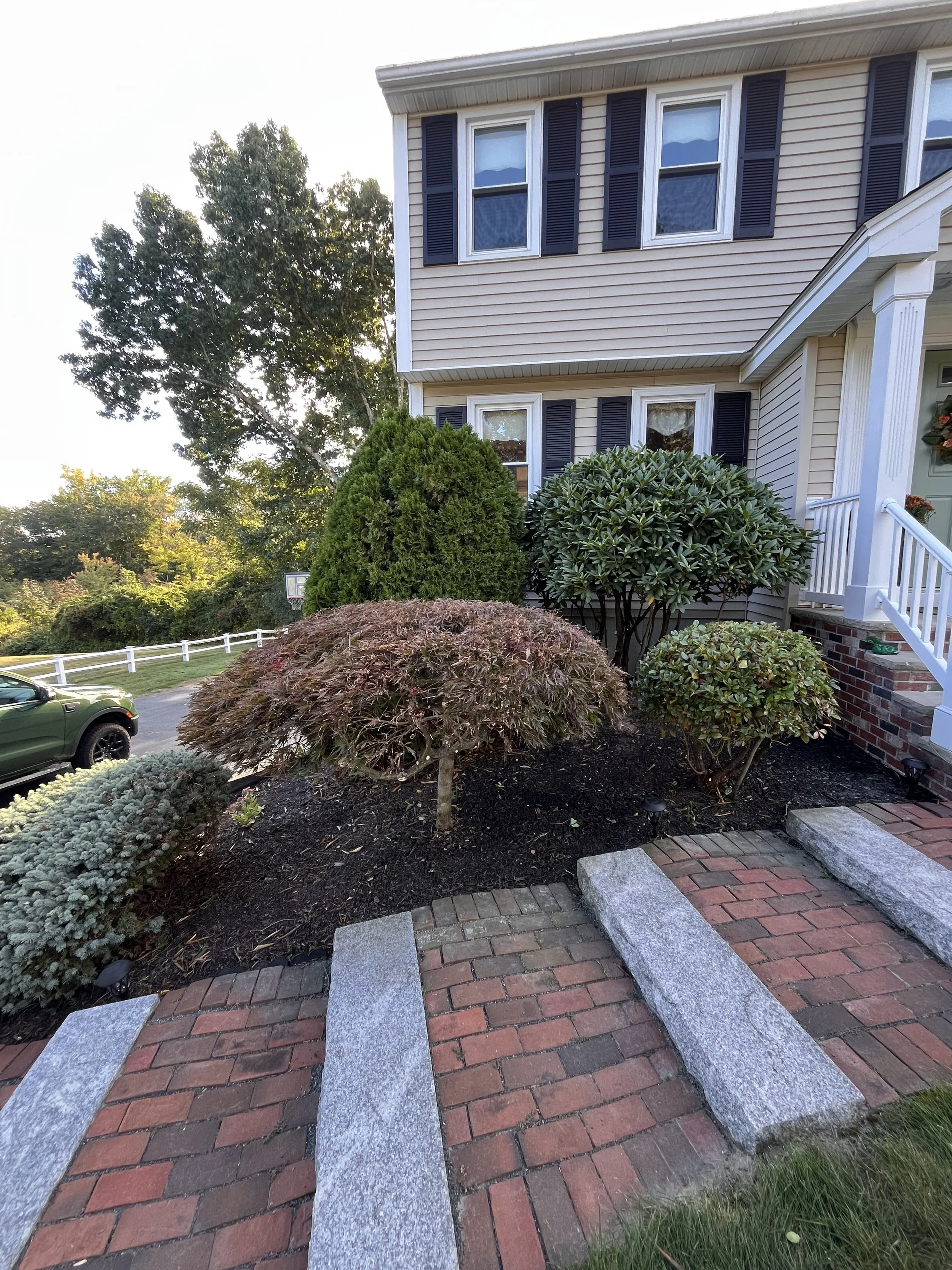 Shrubs, walkway, pruning, hedge trimming