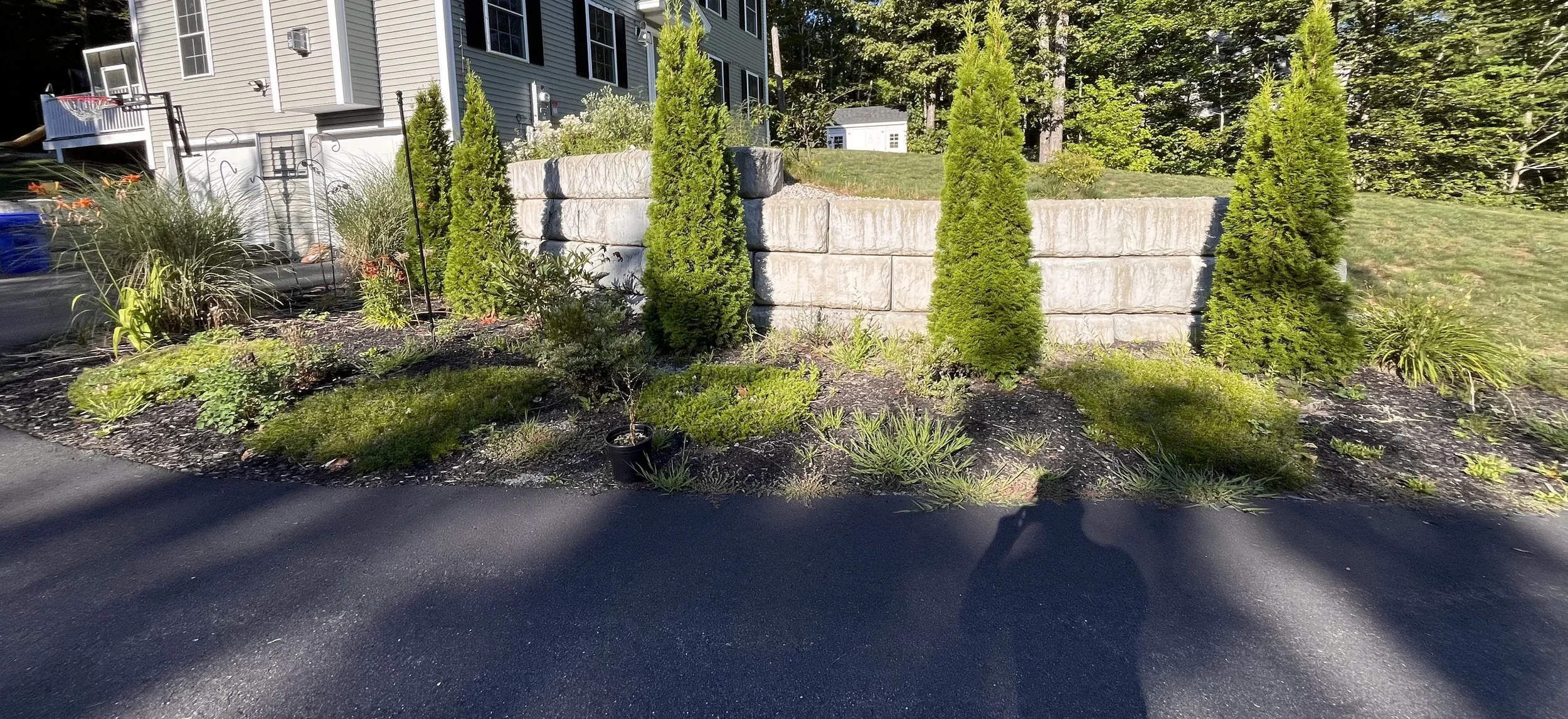 A landscaped yard with a retaining wall of large concrete blocks, evergreen trees, and various plants, with a nearby house and a paved driveway in the foreground.