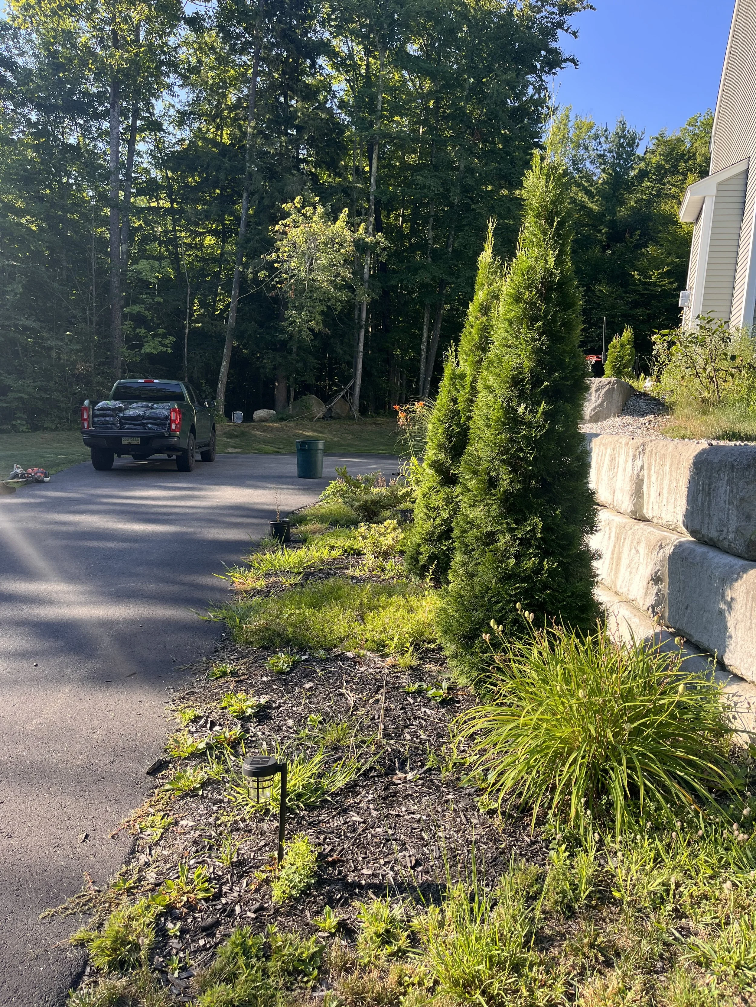 A residential driveway bordered by a landscaped garden with shrubs, flowering plants, and a small pathway. There is a black pickup truck parked on the driveway, a green trash bin, and a background of tall trees with green foliage under a clear blue s