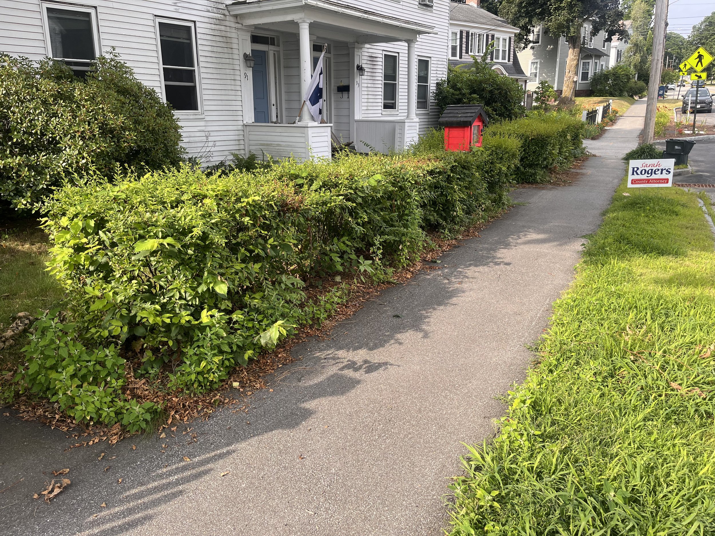 Residential sidewalk with bushes and grass on the side, white houses in the background, a red mailbox, political campaign signs, including one for Sarah Rogers, County Attorney, and pedestrian crossing signs in the distance.