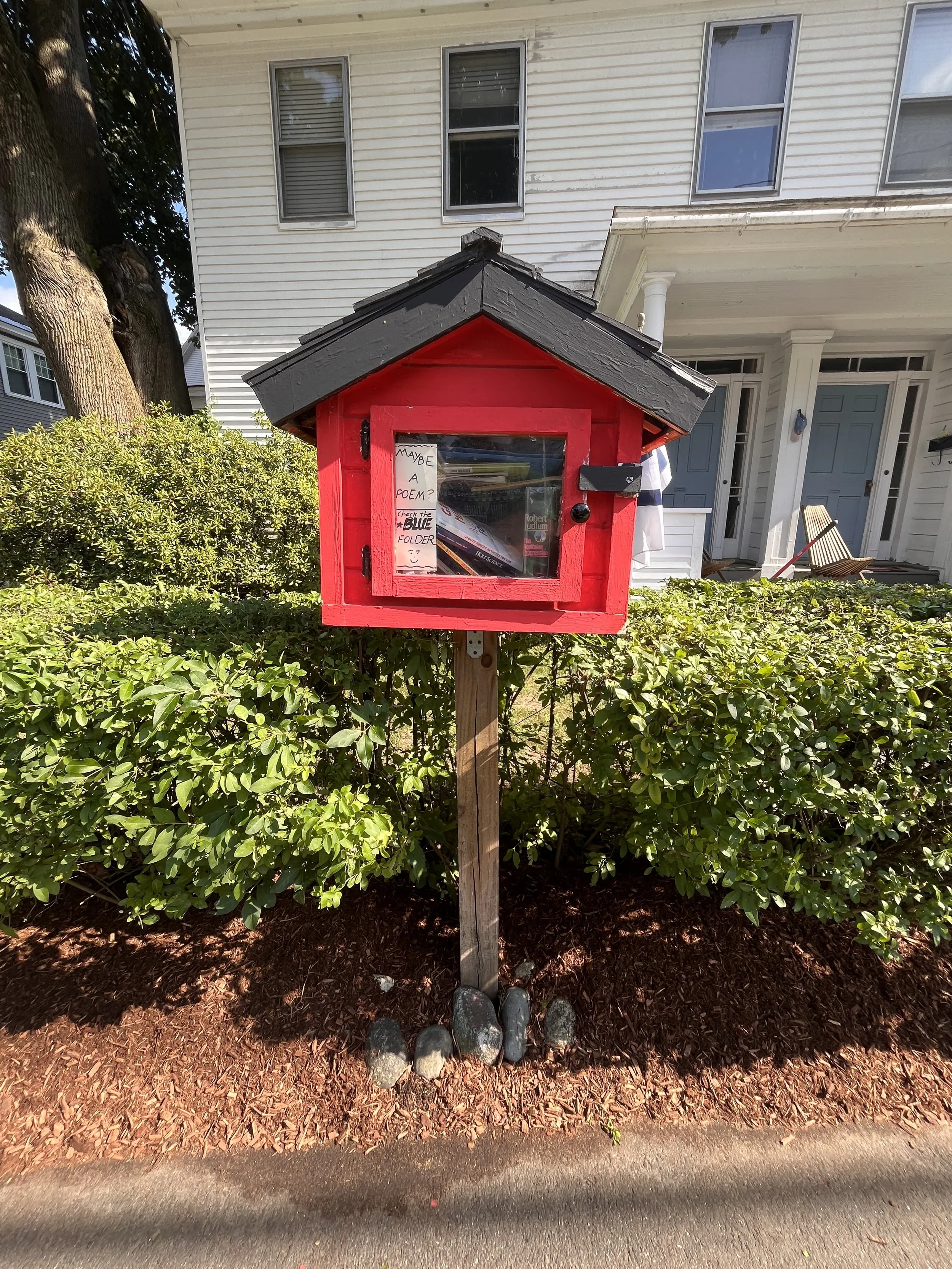Red wooden mailbox with a black roof and transparent door, placed on a wooden post in front of green bushes near a sidewalk, with a white house in the background.