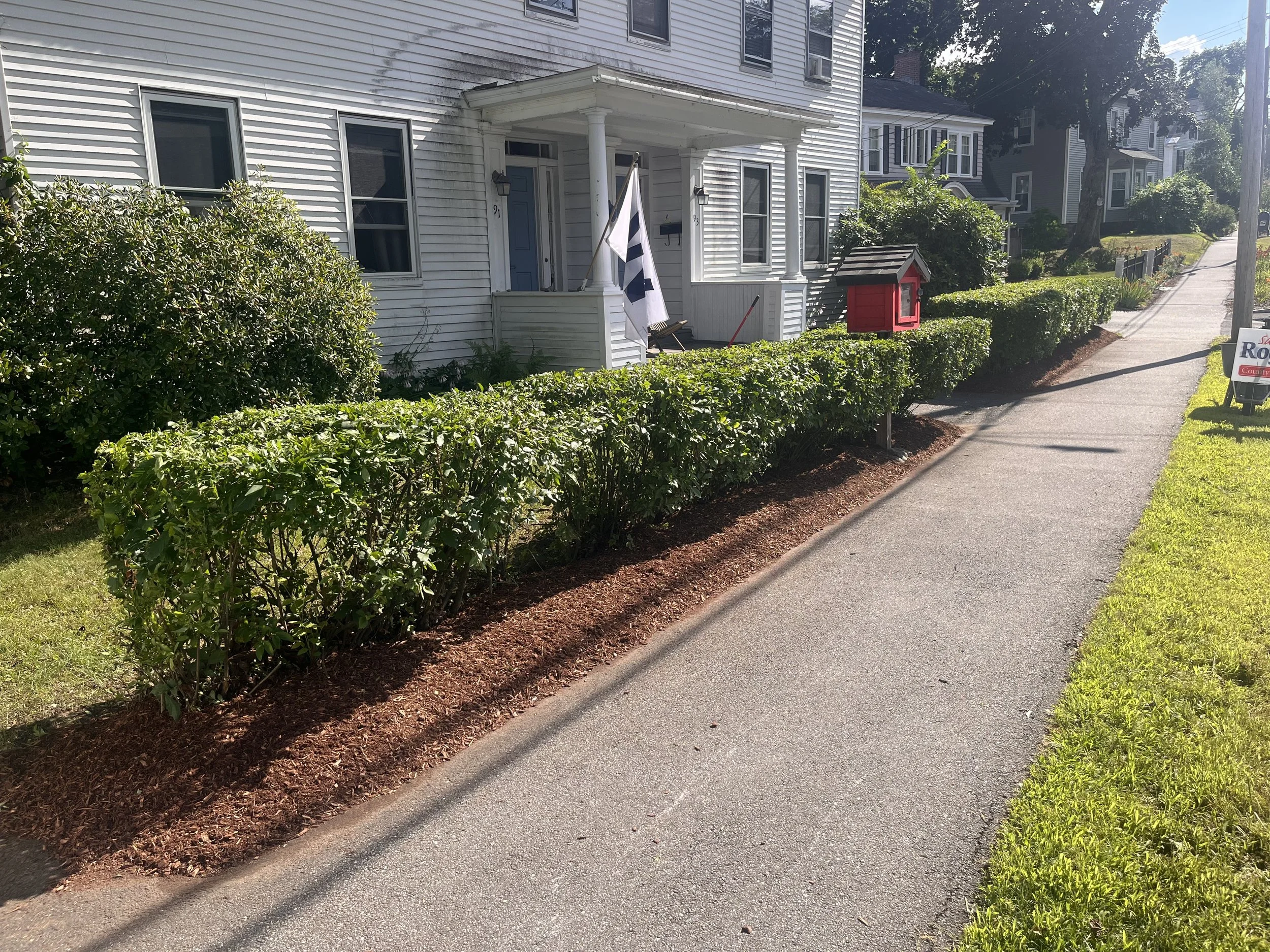 A residential sidewalk with bushes and a house in the background. The house has white siding, a blue door, and a porch with a flag hanging. There is a red mailbox on the lawn and a sign for a political campaign. Sunlight and trees are visible.