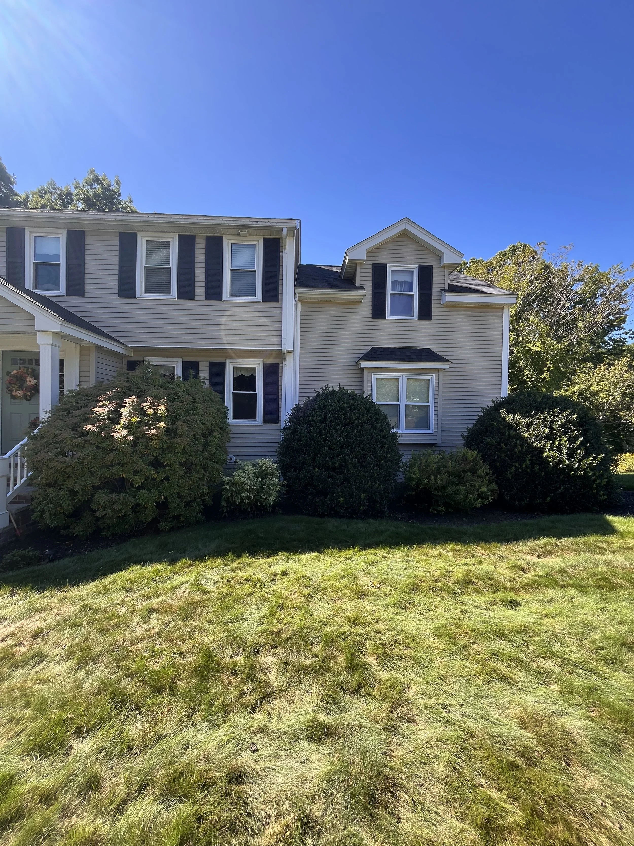 Shrubs, walkway, pruning, hedge trimming