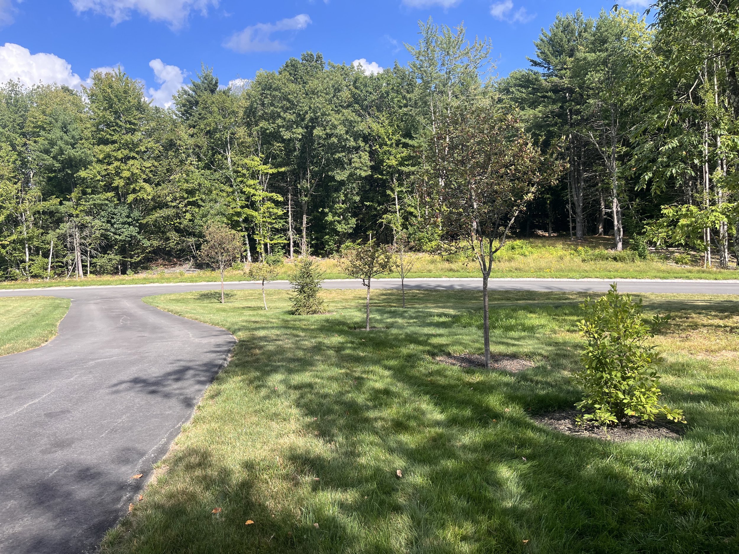 A paved pathway curves through a well-maintained grassy area with small trees, leading into a dense forest of green trees under a blue sky with scattered clouds.