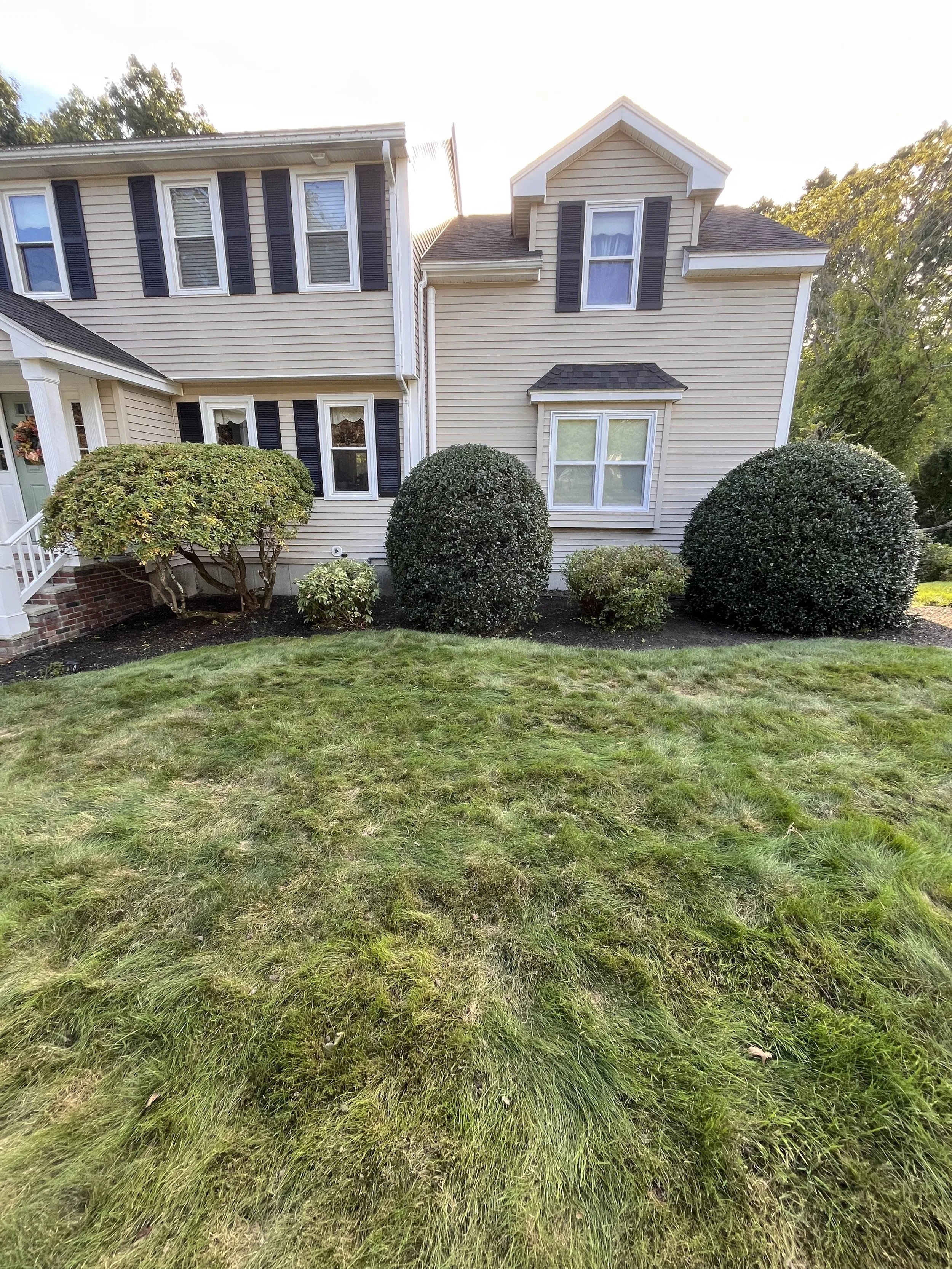 Front yard of a house with well-manicured bushes and grass,