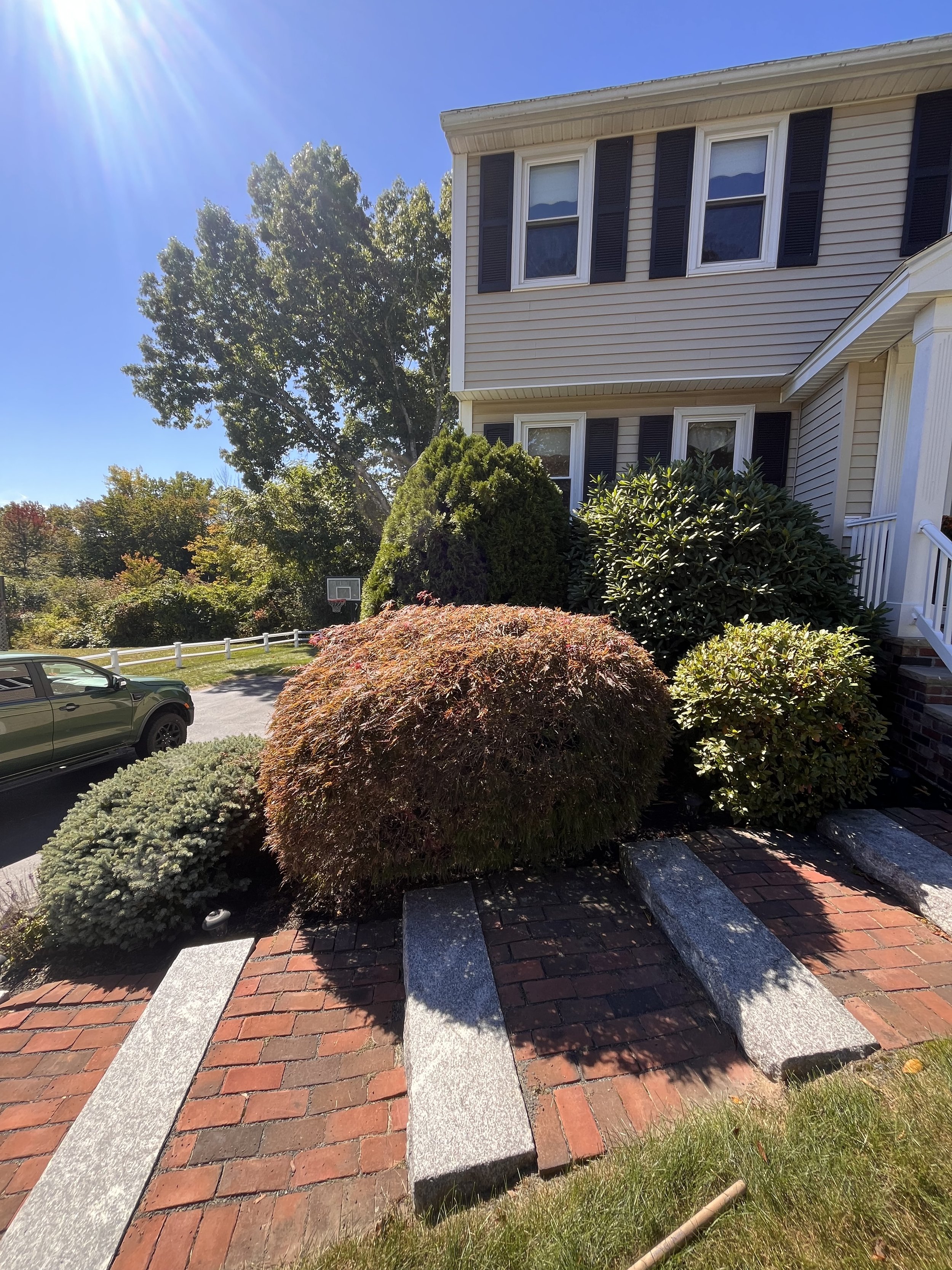 Shrubs, walkway, pruning, hedge trimming