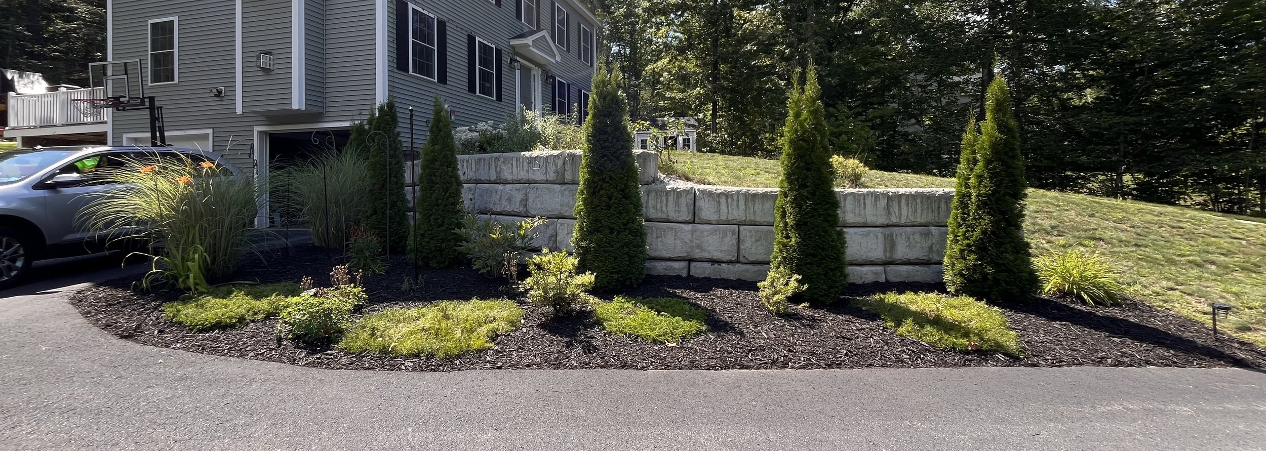 A landscaped yard with a retaining wall made of large beige stone blocks, tall conical evergreen trees, flowering plants, and shrubbery, in front of a gray house with white trim and black shutters.