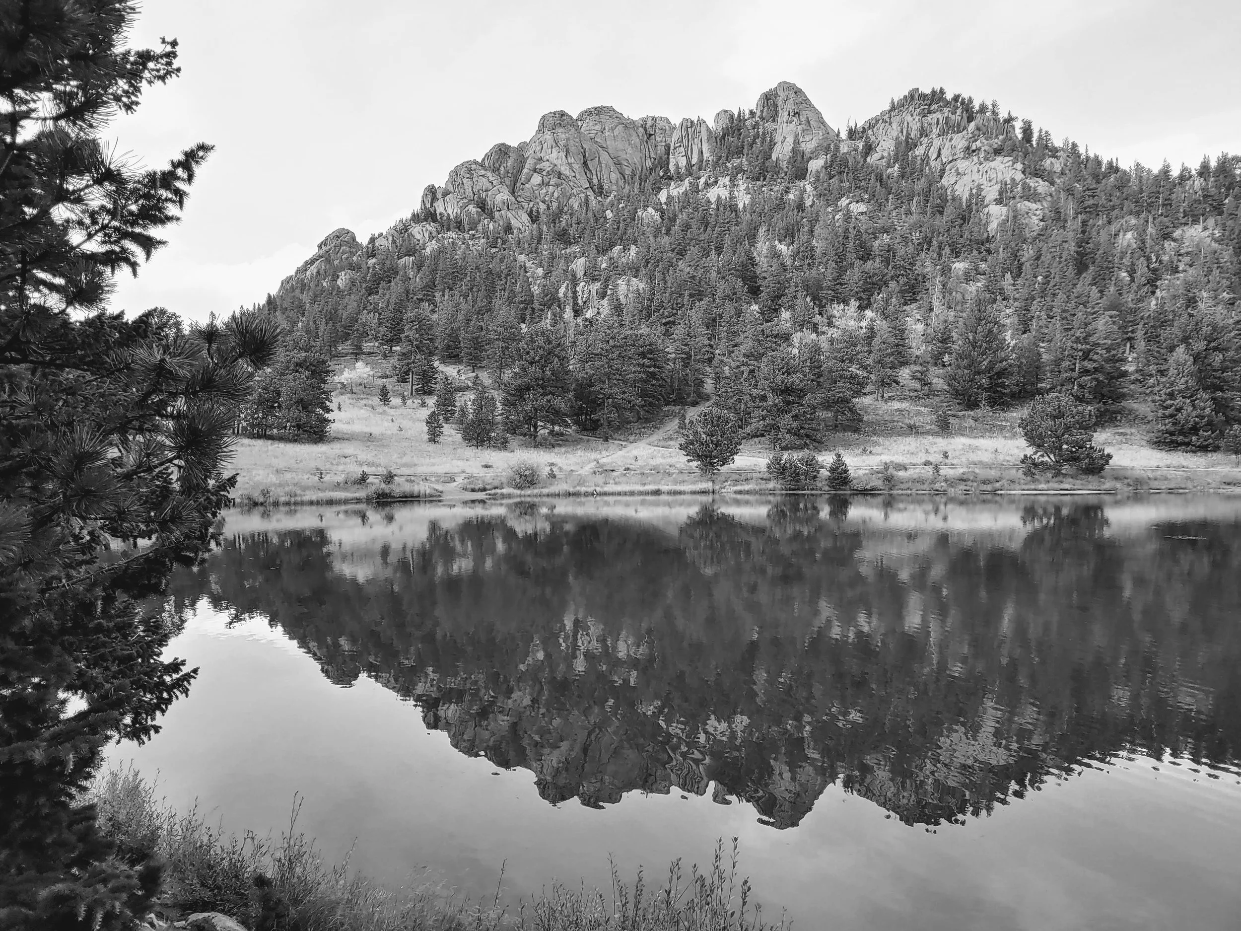 Black and white photograph of a mountainous landscape reflected in a calm lake. Pine trees frame the scene on the left side.