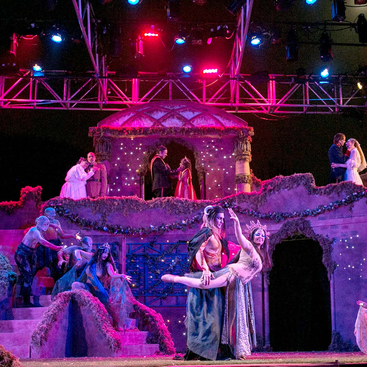 KINGSMEN SHAKESPEARE COMPANY