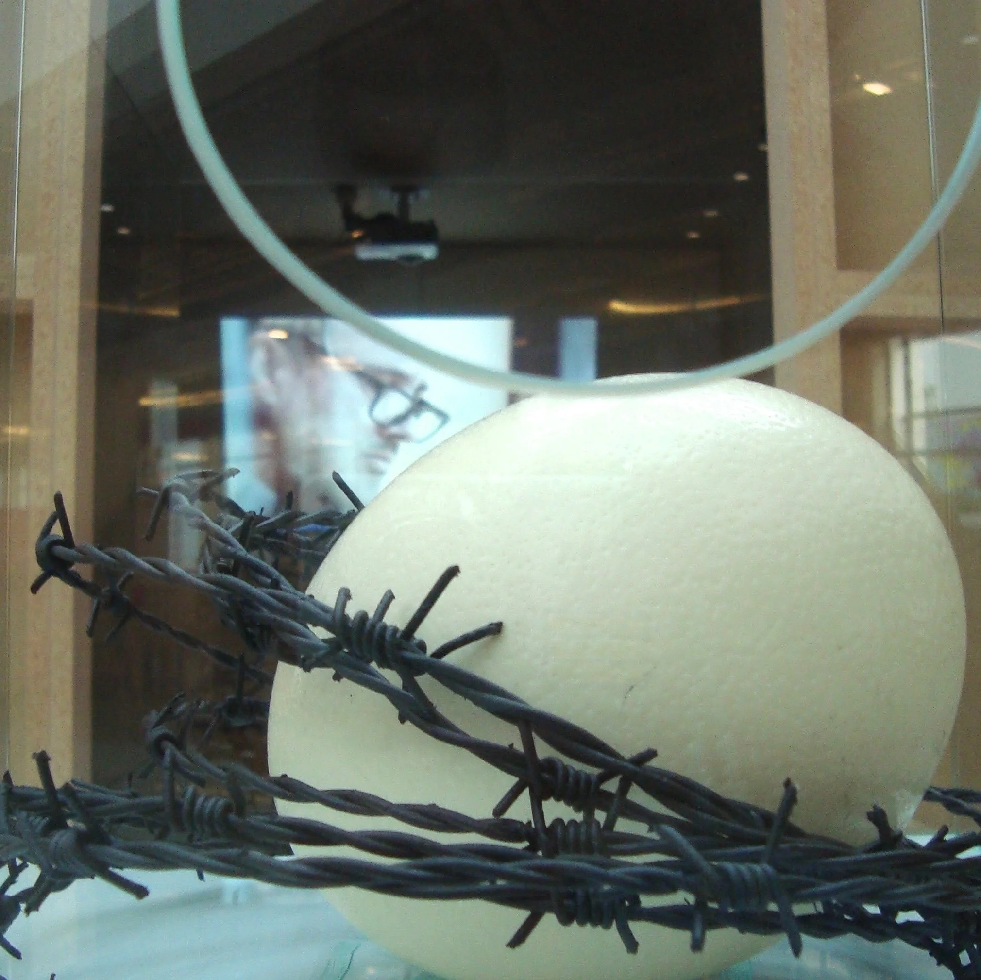 no.body egg installation
