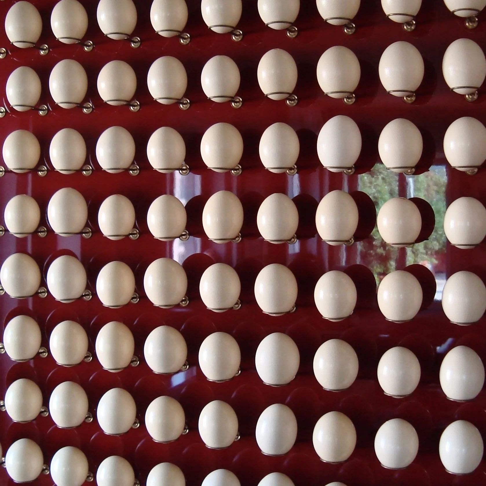 Ostrich Egg Installation