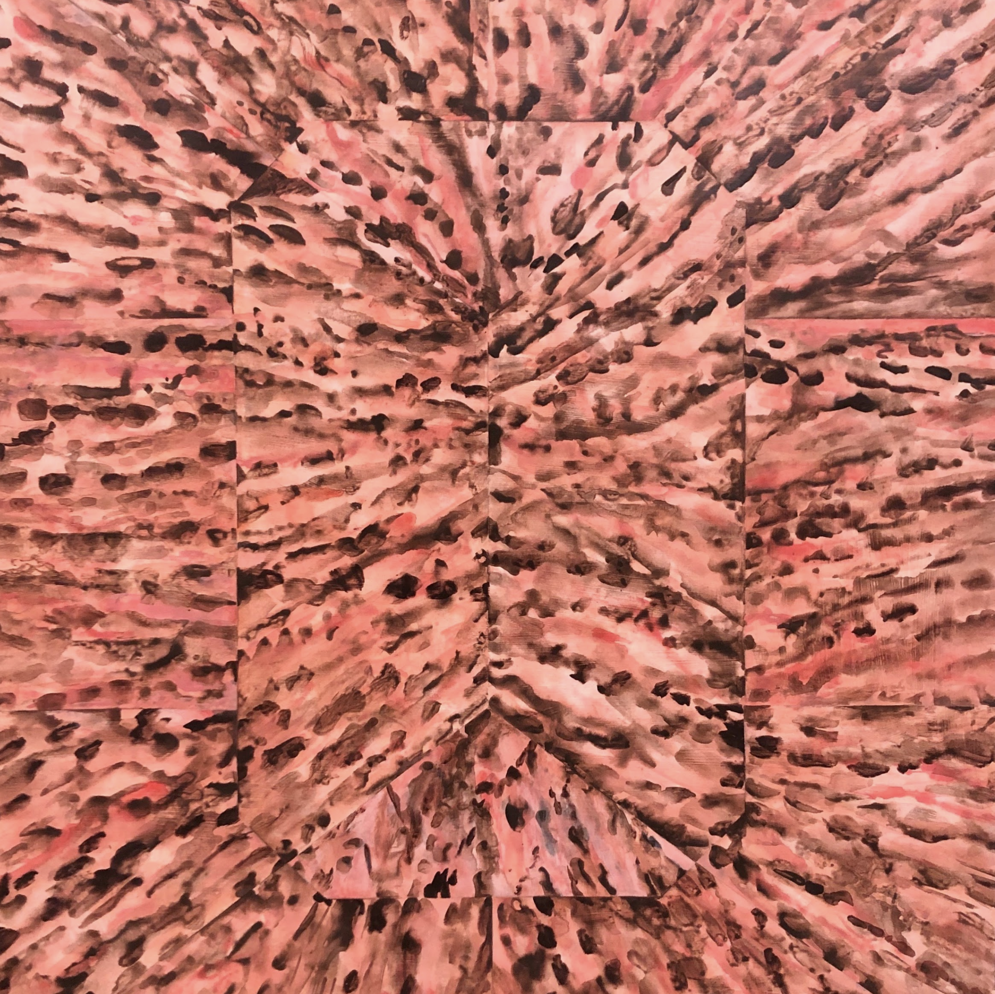 Tortoise design for wallpaper