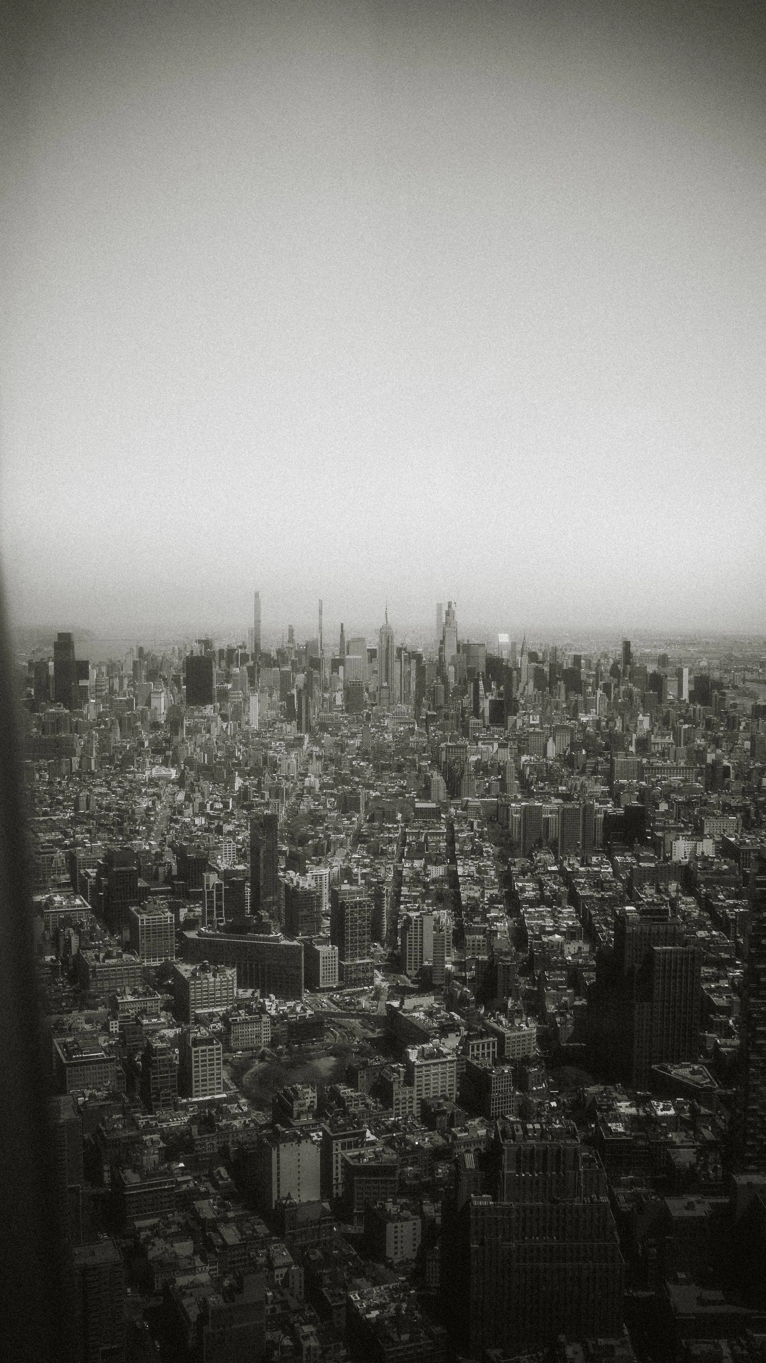 SNY08159.jpg