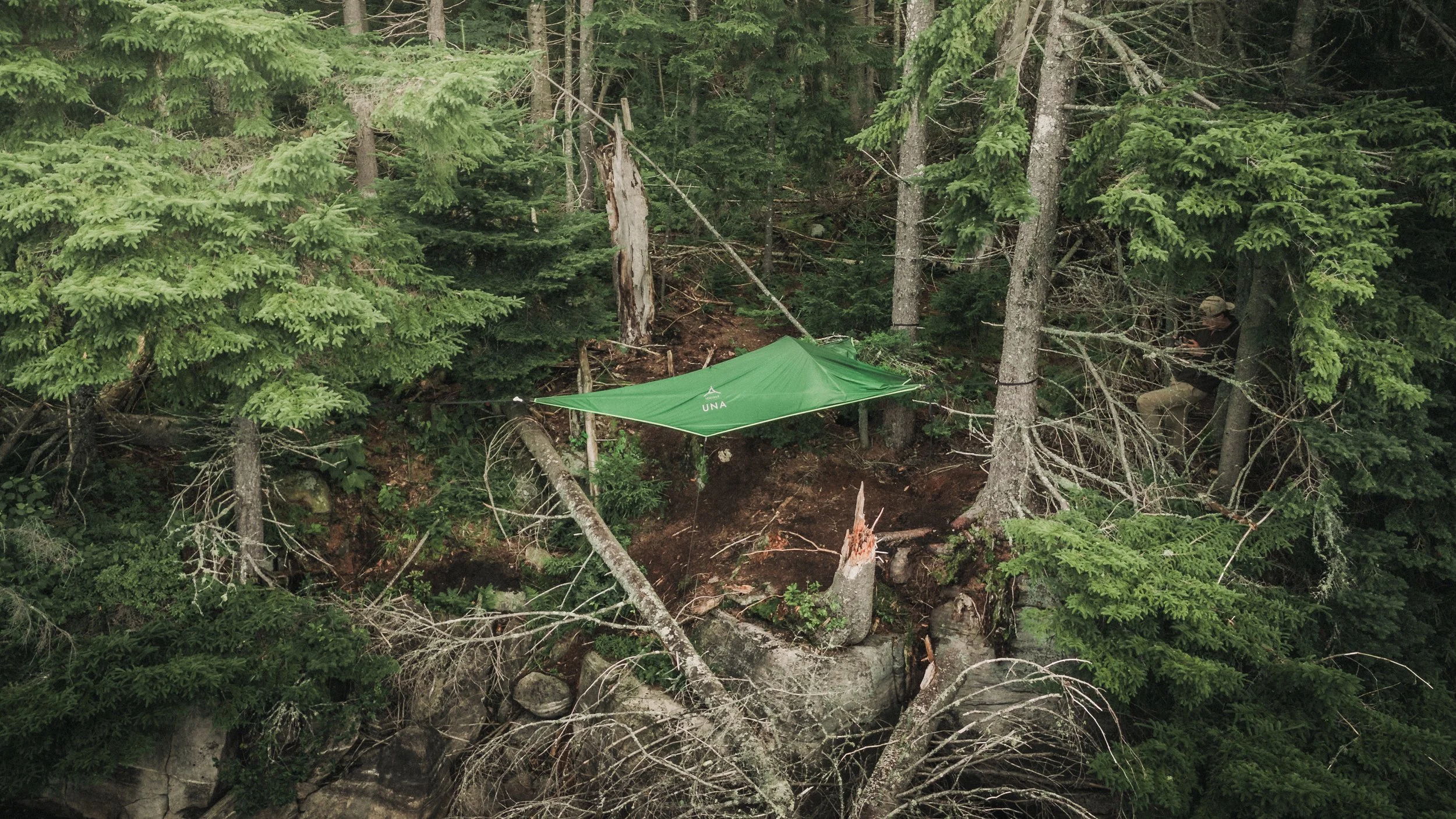DJI_20240712071756_0068_D.jpg