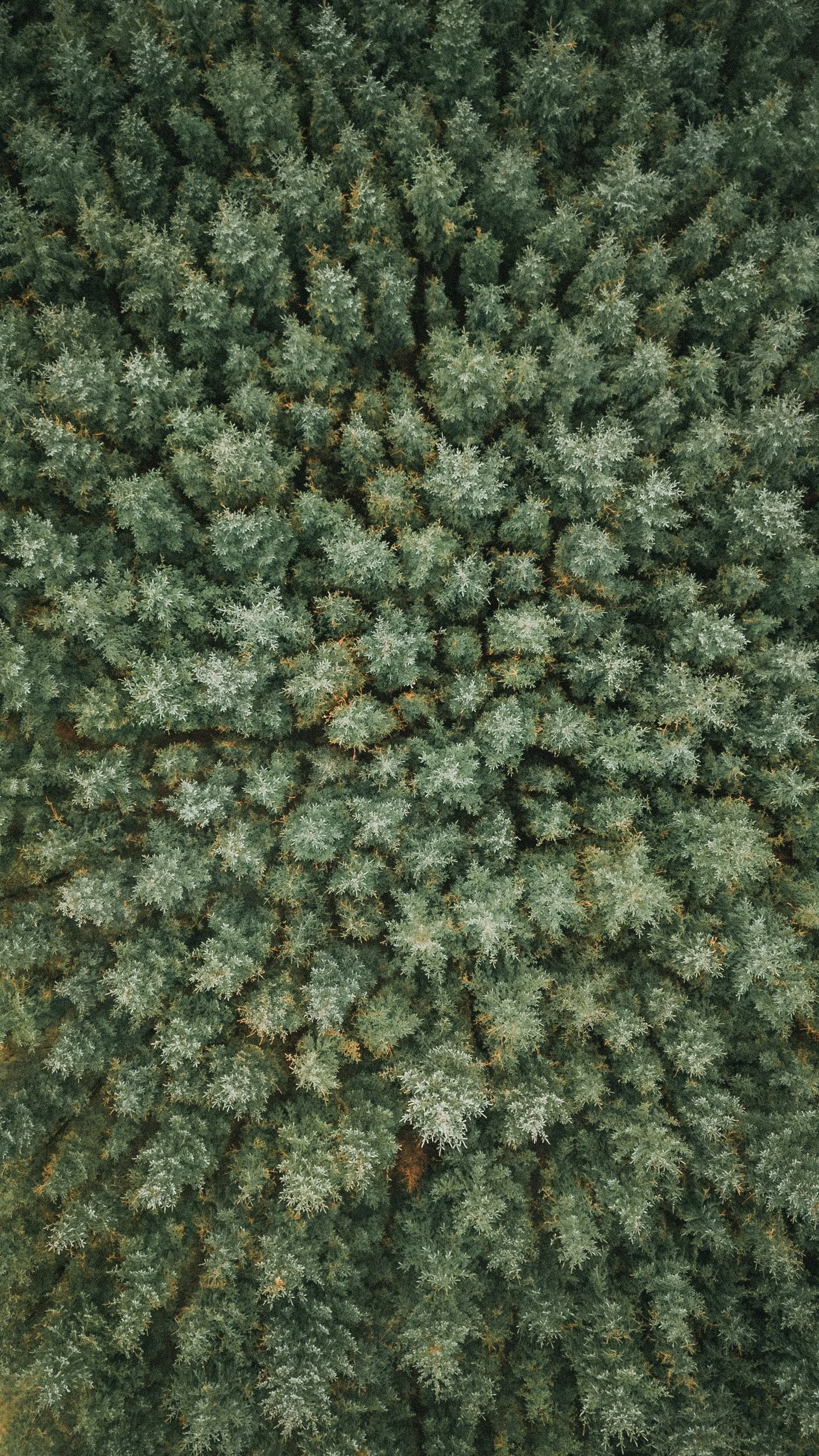 DJI_20240105063703_0030_D.jpg