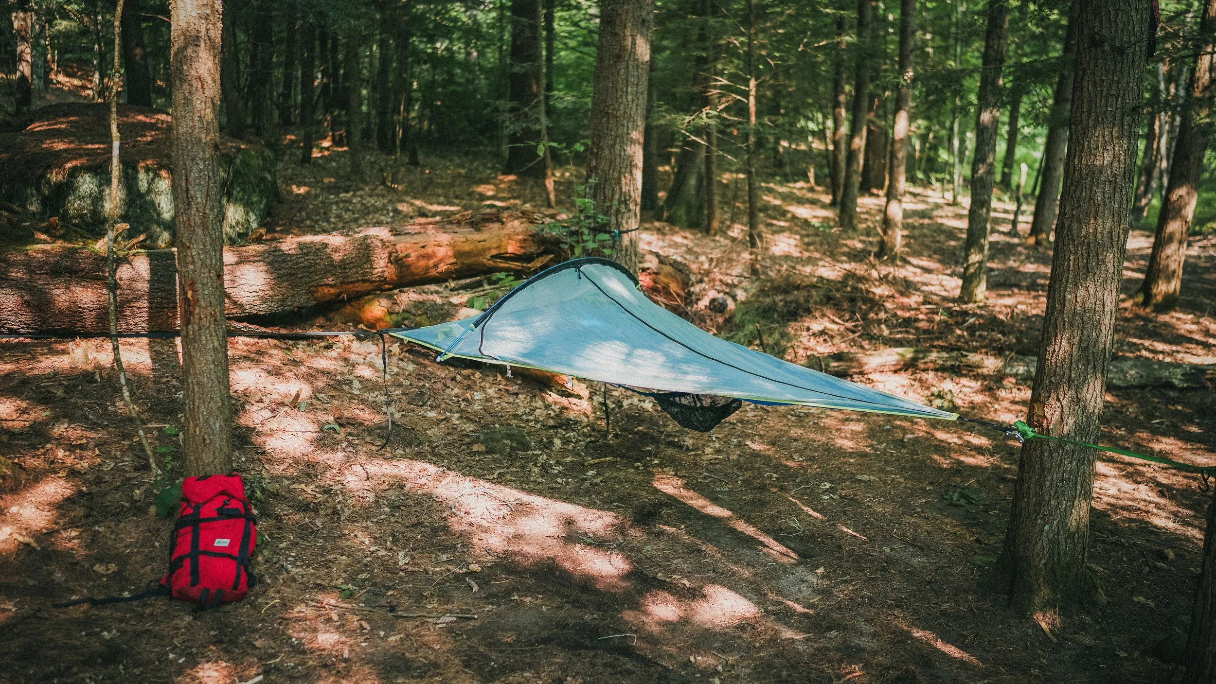 SNY09543.jpg