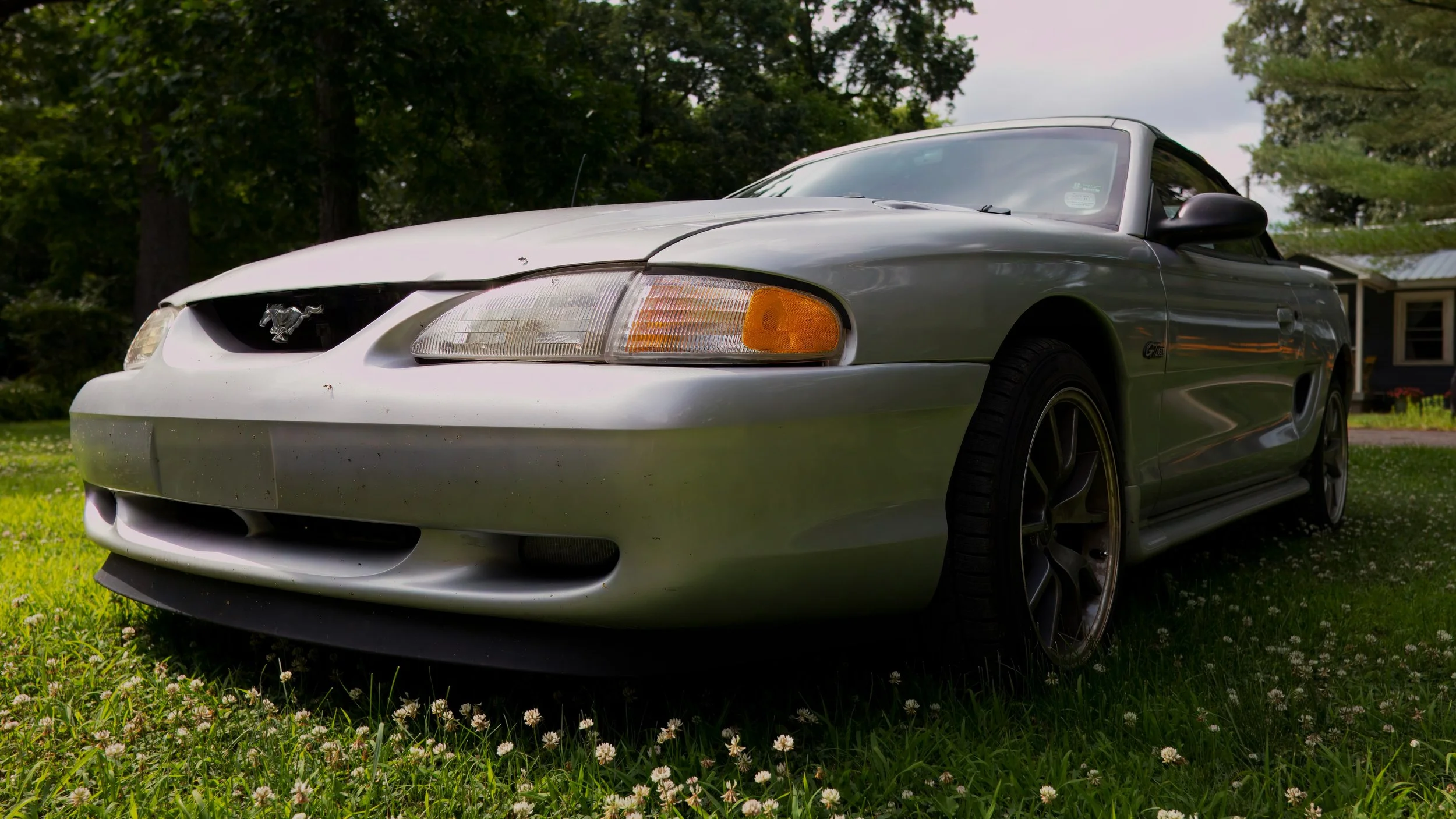 Dyl-Mustang-Drivers-Front.jpeg