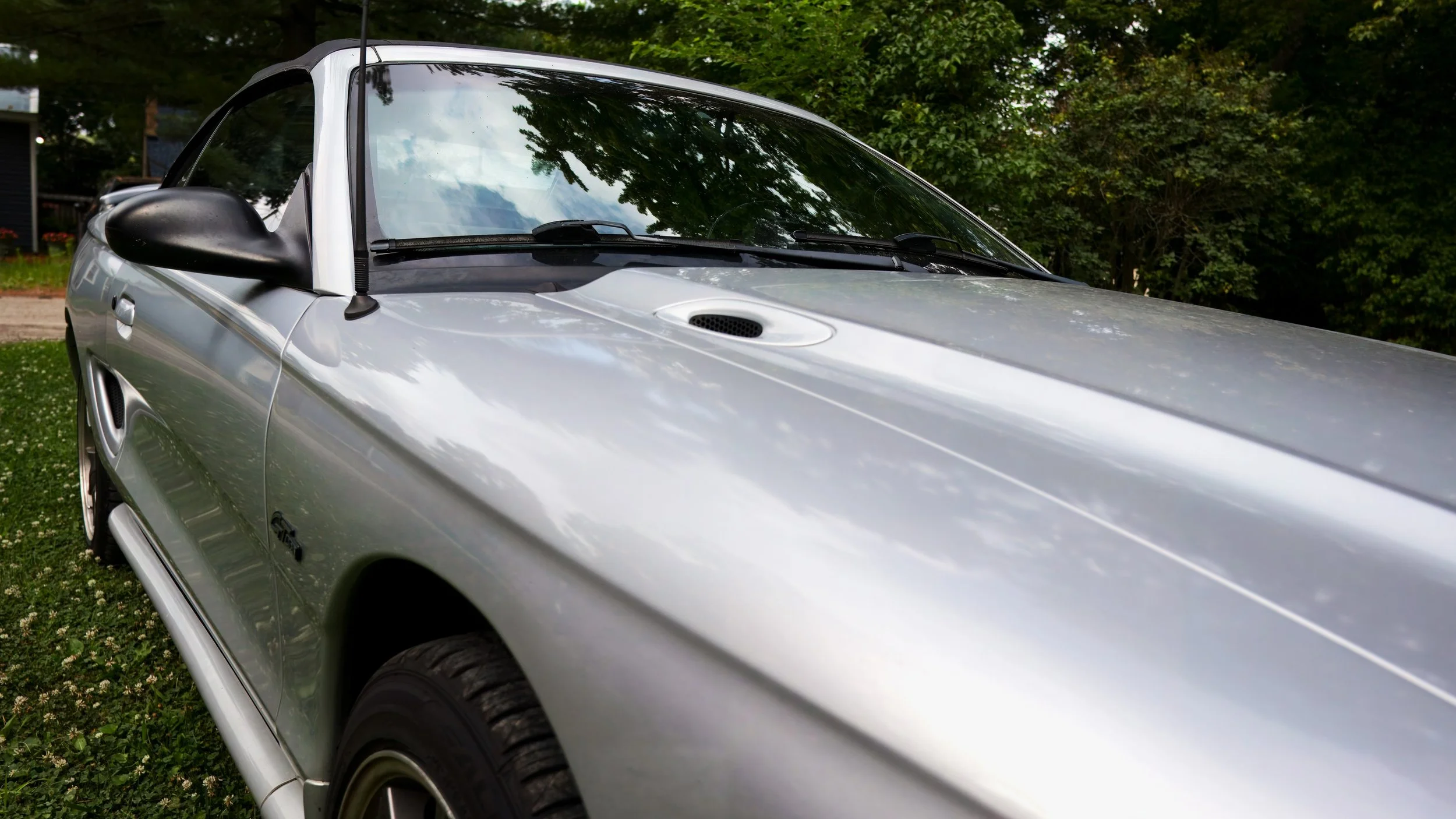 Dyl-Mustang-Passanger-From-Wheel.jpeg