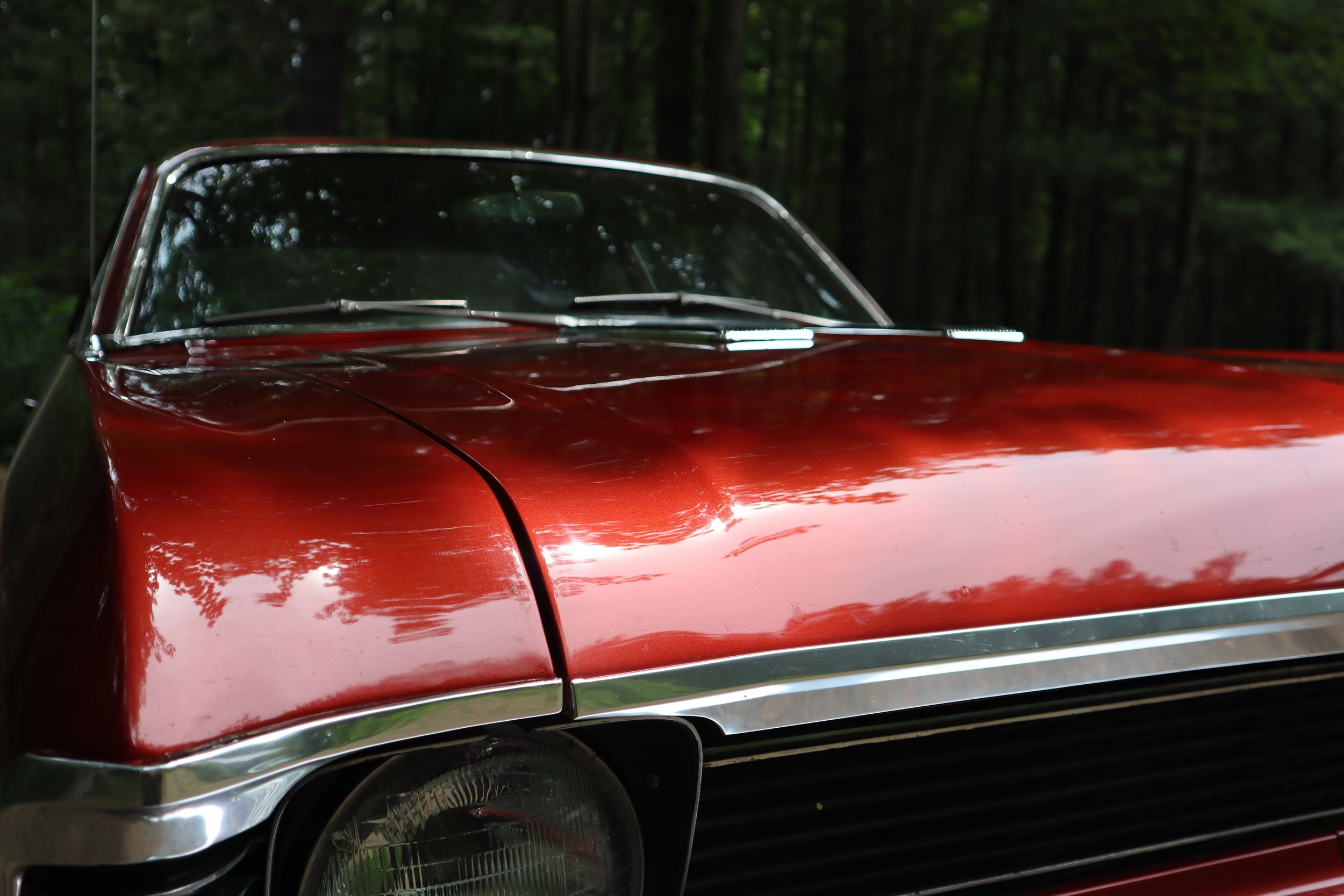 Close-up of the front part of a vintage red car with a shiny exterior, showing the windshield, part of the hood, and the headlight, set against a background of trees. 1968 Chevy 2 II Nova