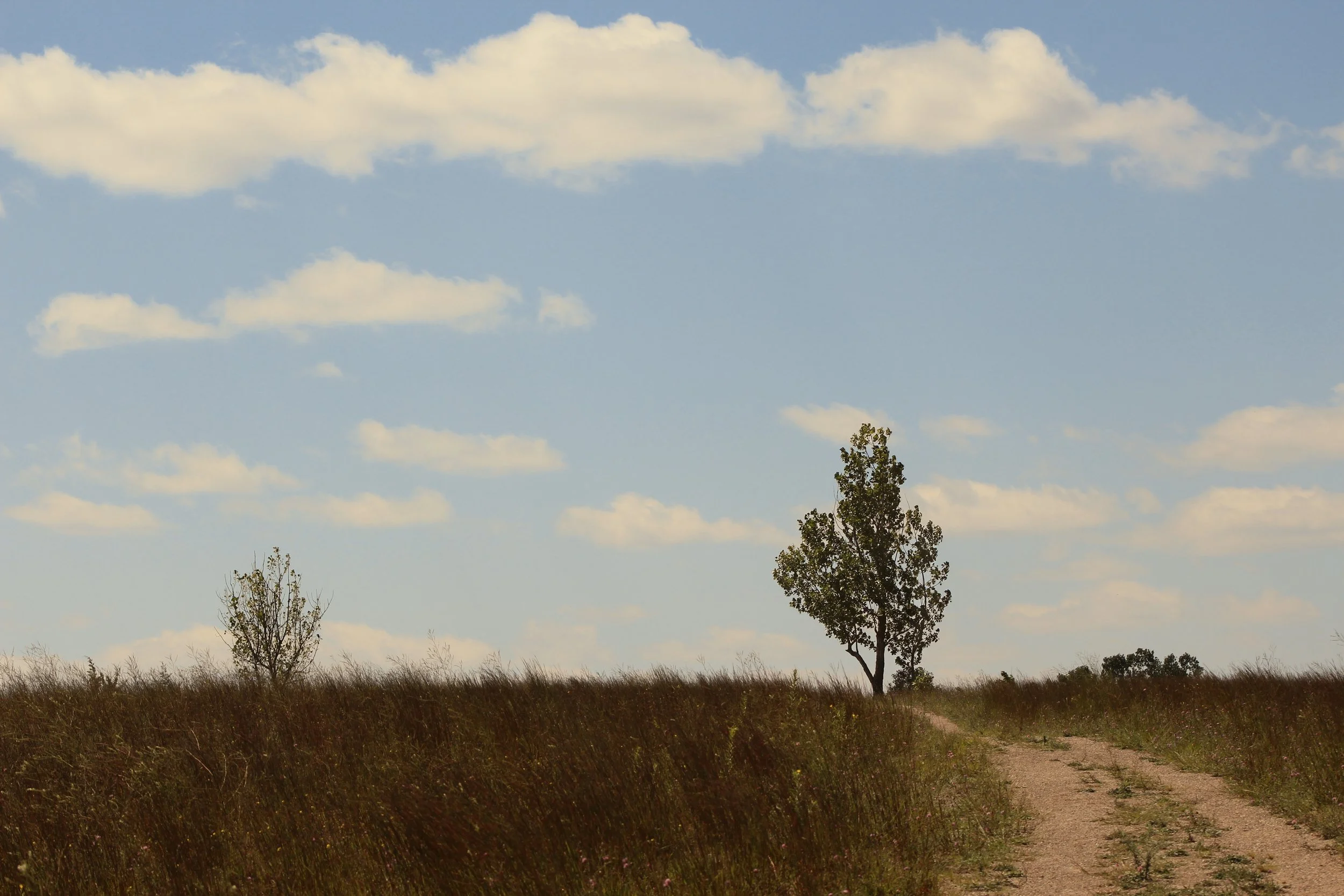 Summer-Hill-Path.jpeg