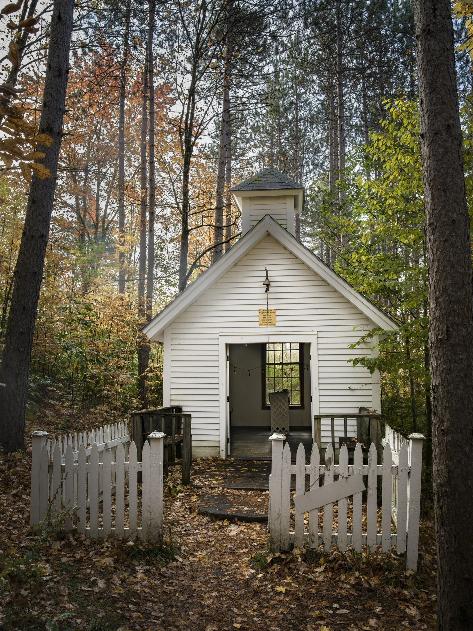 A tiny chapel in the woods.