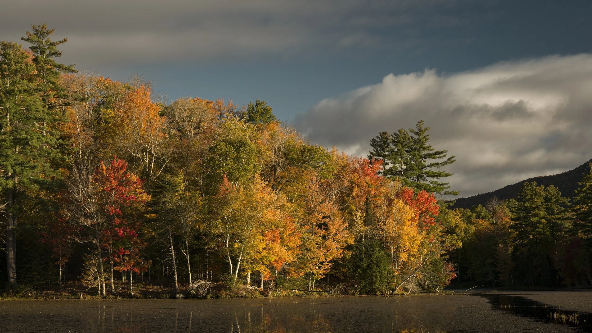 Fall color holds its reflection under a stormy sky.