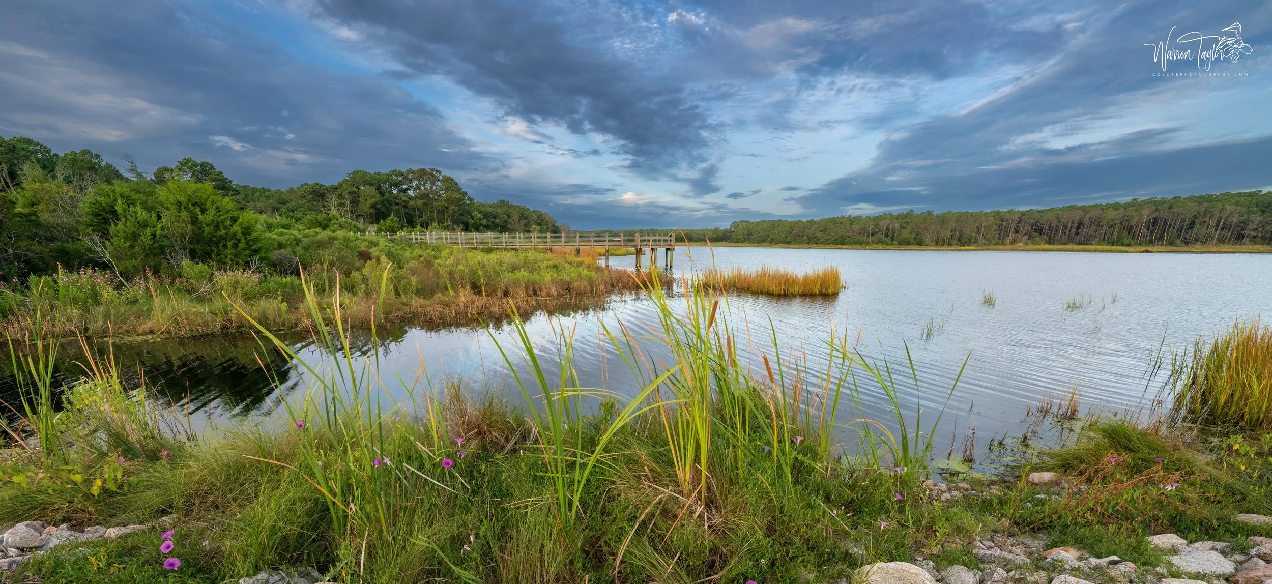Huntington Beach State Park, SC