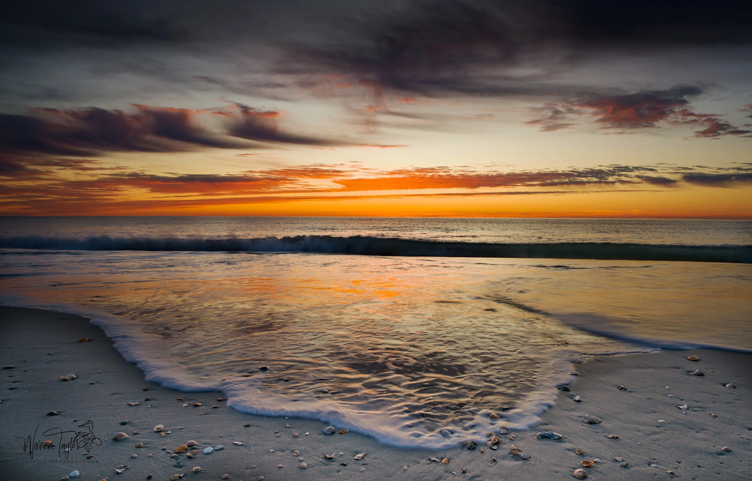 Huntington Beach State Park, SC