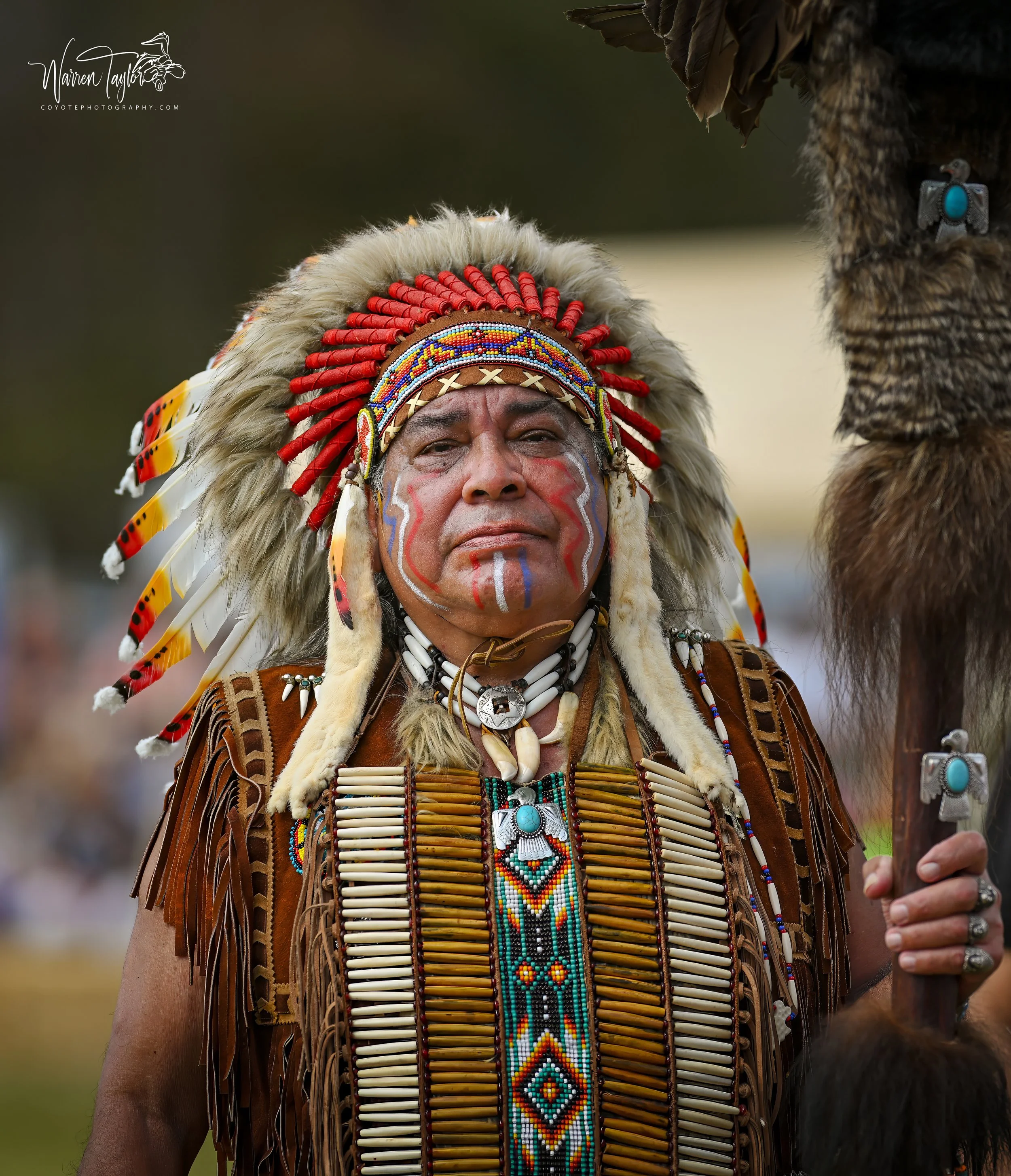 Chief - Pauwau in Aynor, SC
